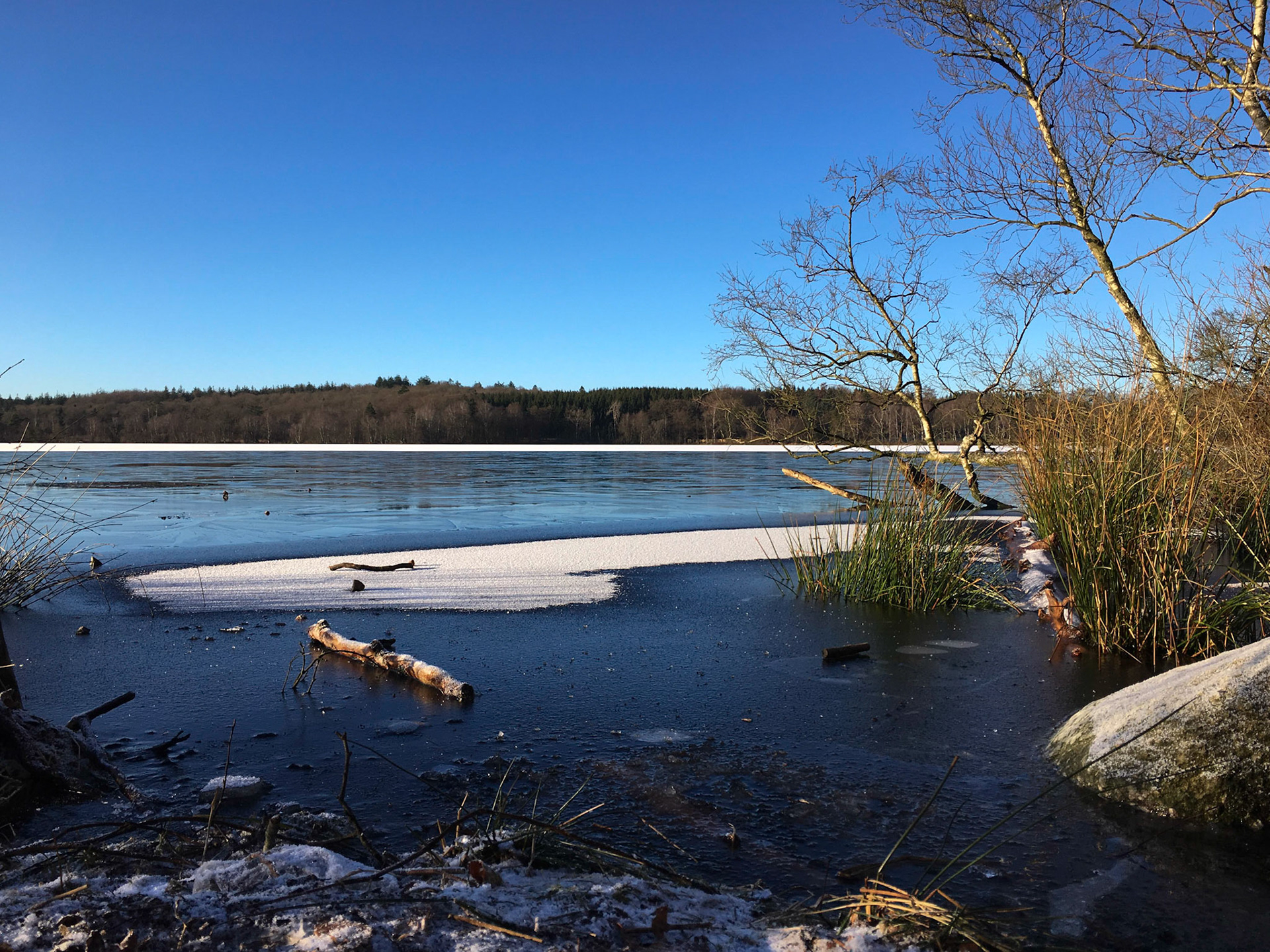 Søen med frost og sne.