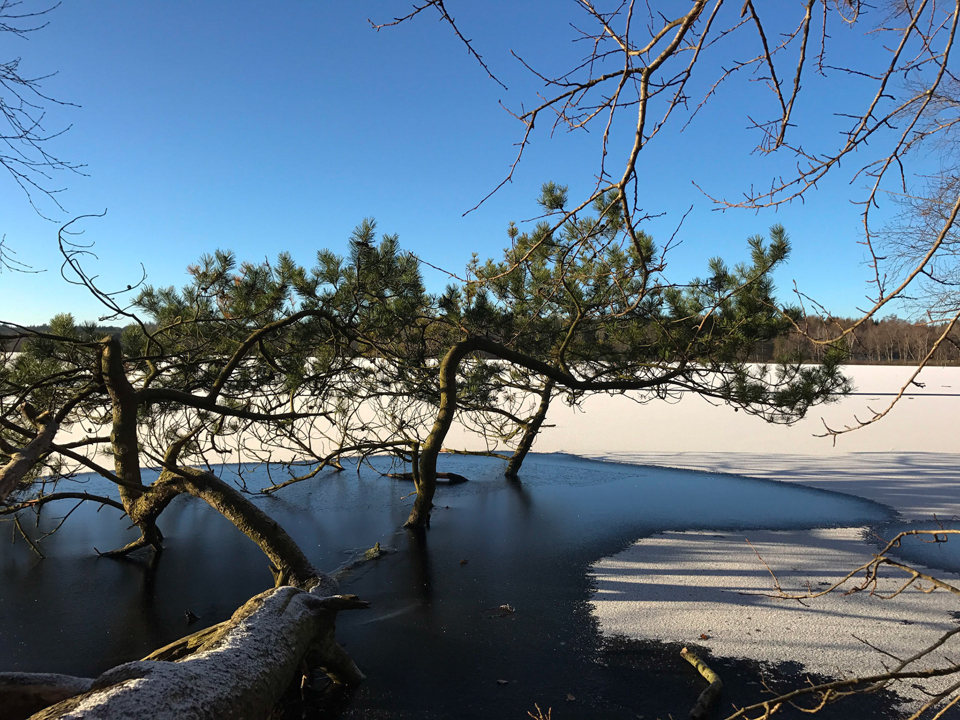 Det må være en kold fornøjelse.
