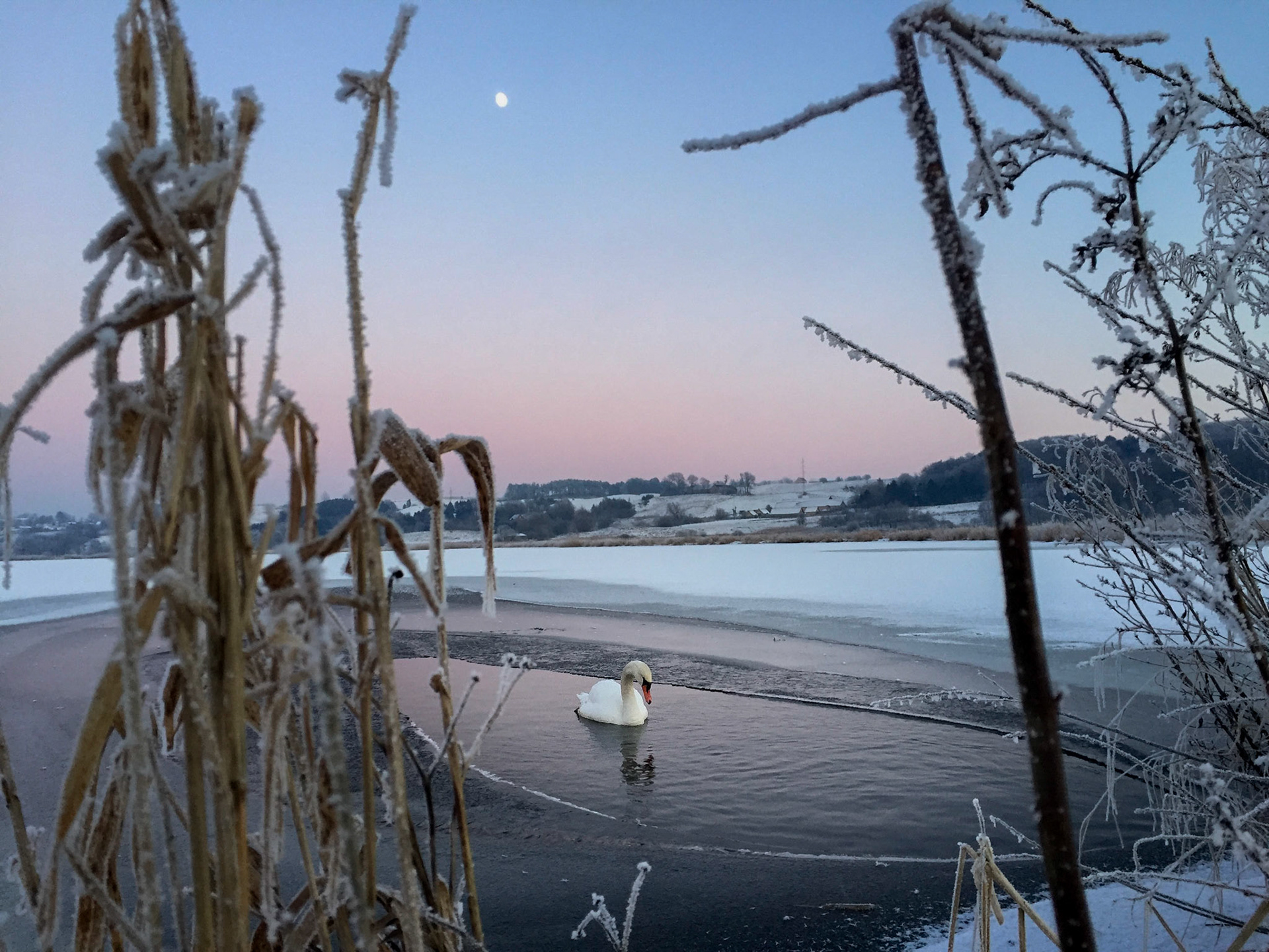 Fyrkat Engsø på en kold januardag