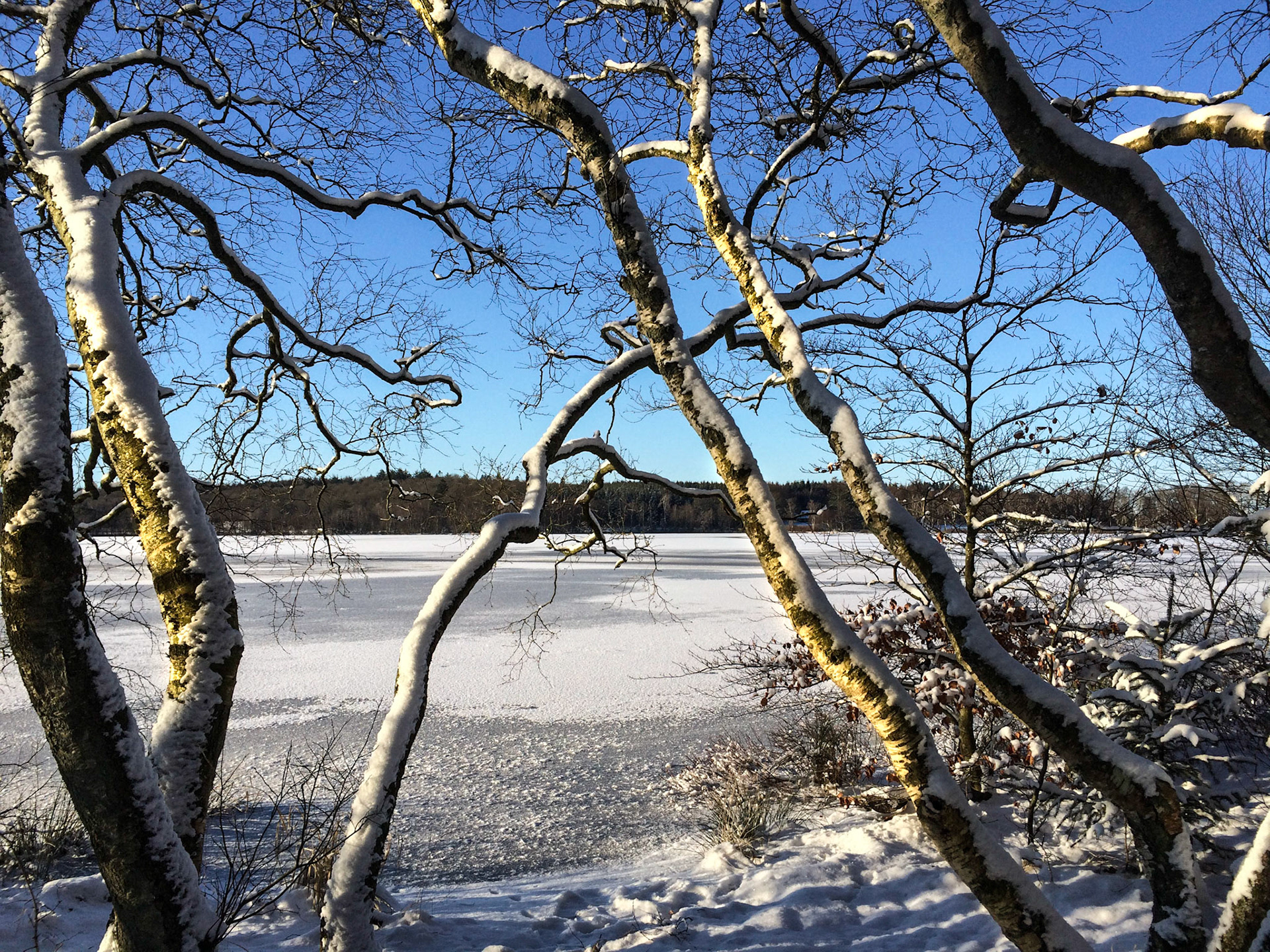 Rundt om Store Økssø