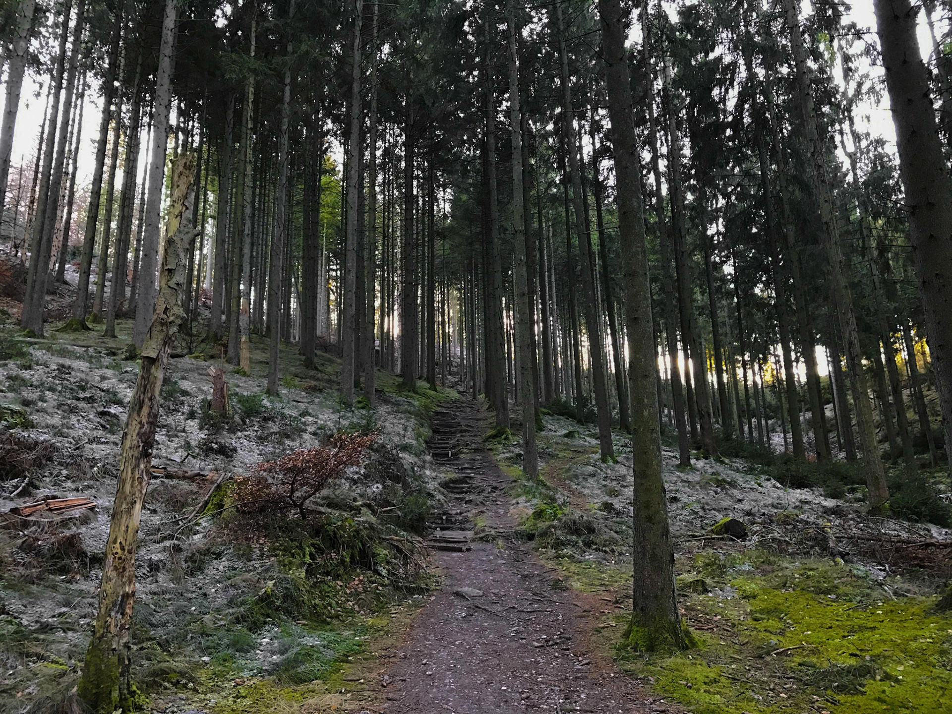 Vi nyder turen hver gang på denne trappe.