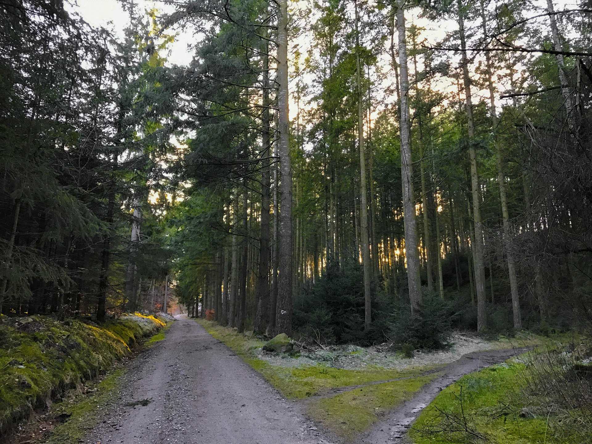 Vi drejer ikke i dag, da vi ikke er på mtb.