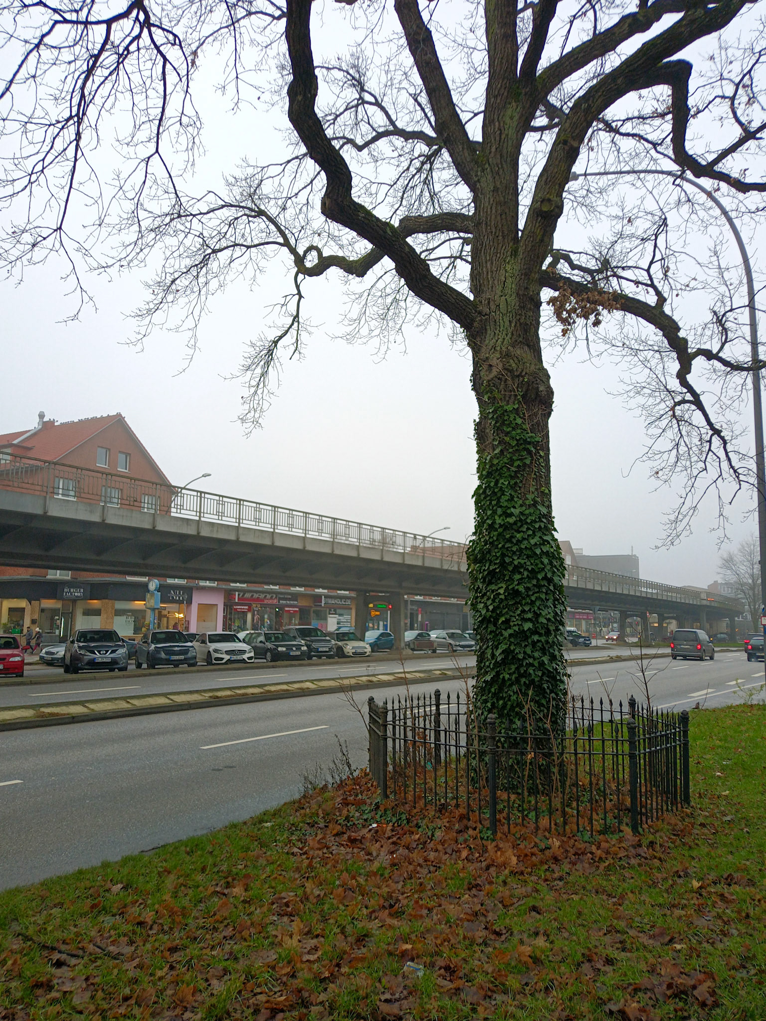 Die Friedenseiche