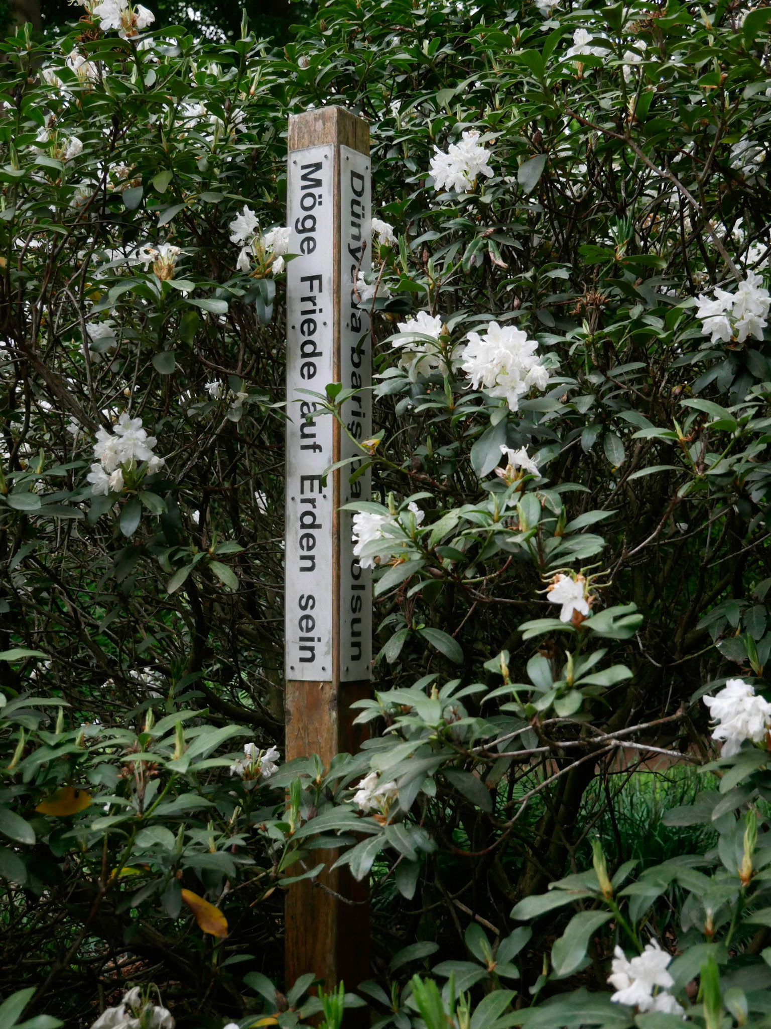 3. Friedensstele