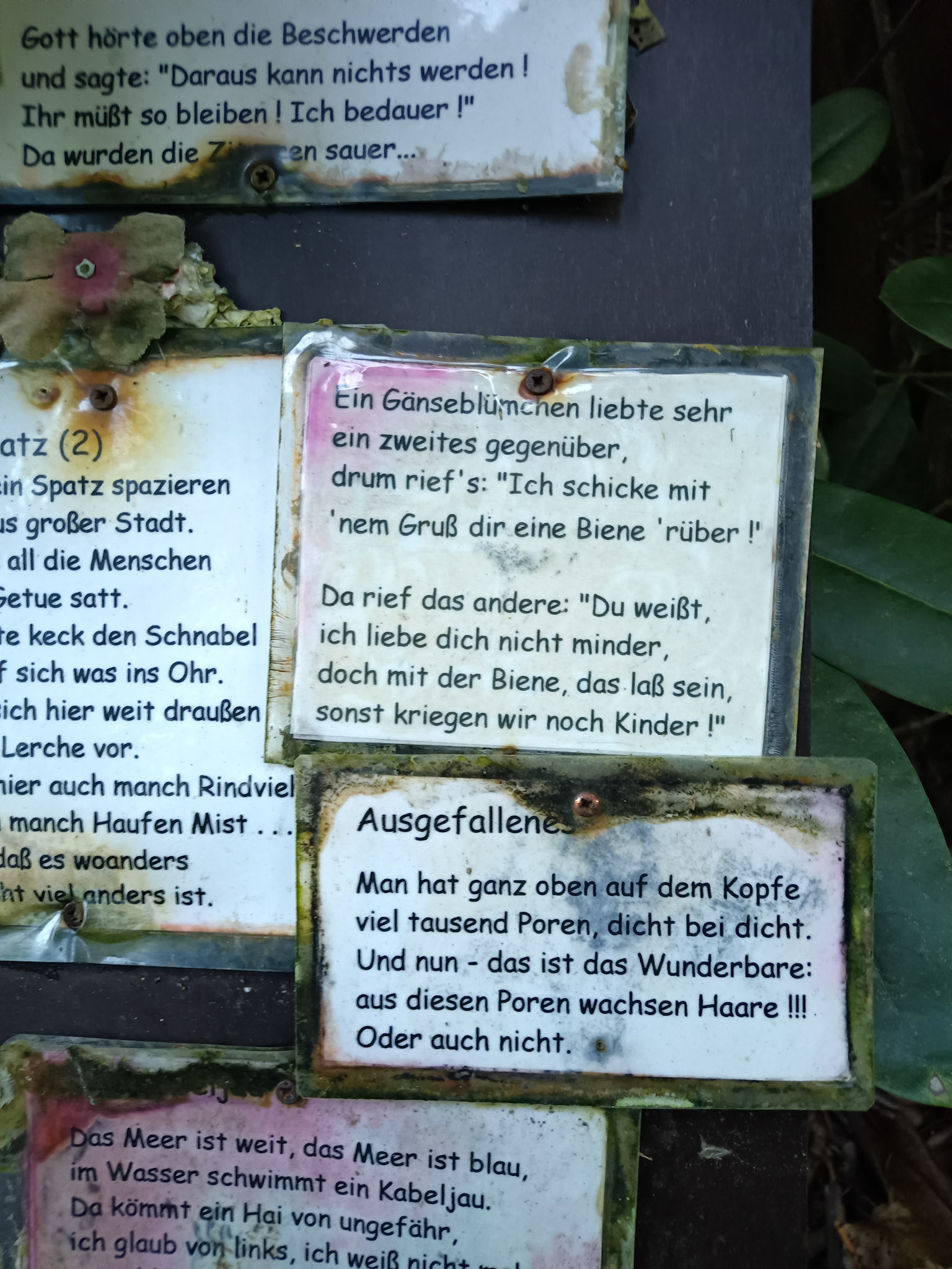 Und noch ein Gedicht...
