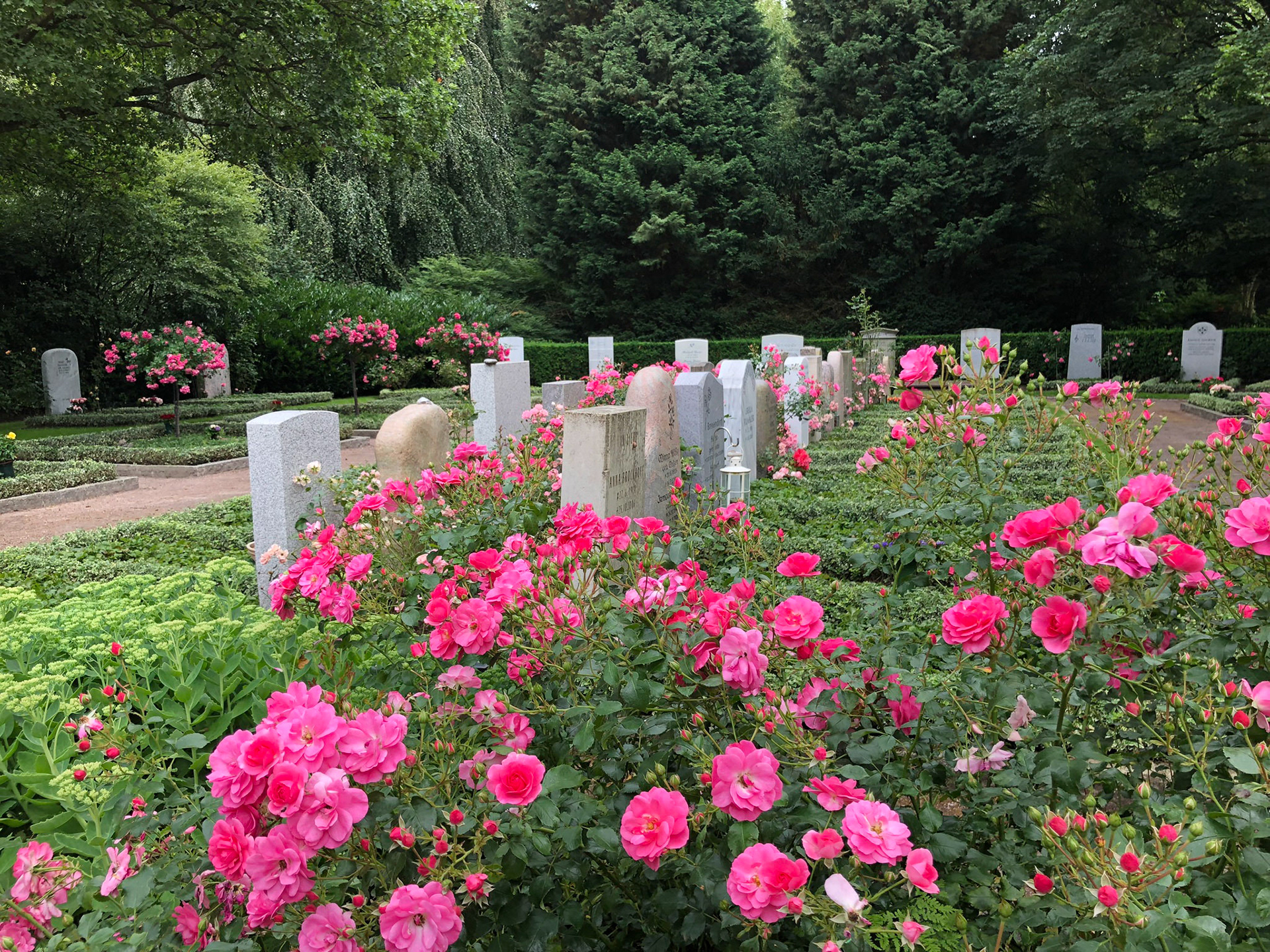 Der Rosengarten