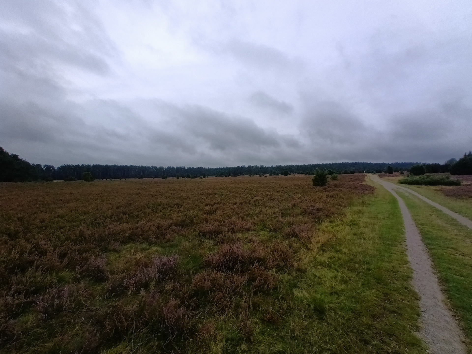 Ach ja: Und Heide (wird nicht langweilig!)