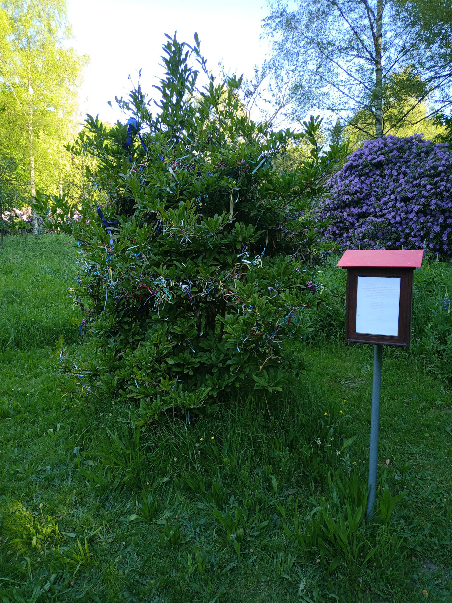 Jede Farbe steht für eine Krebsart