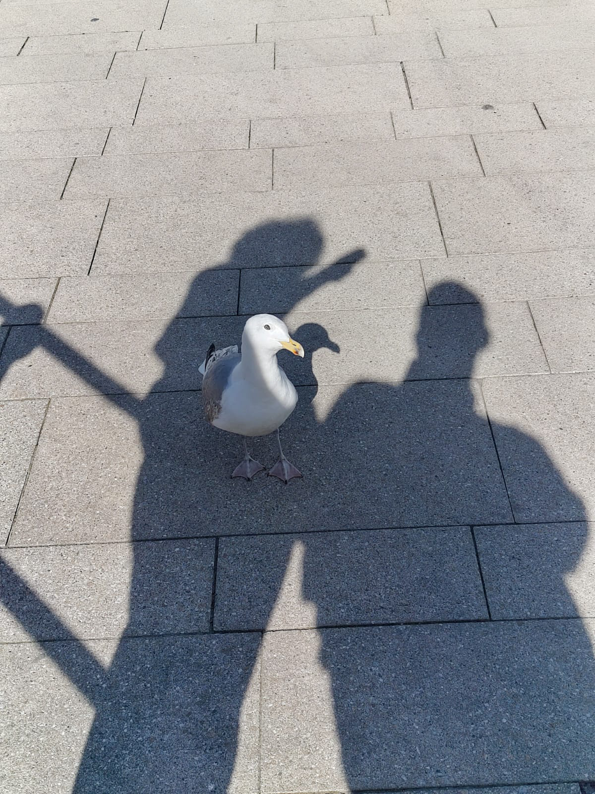Na? Gibt es was?