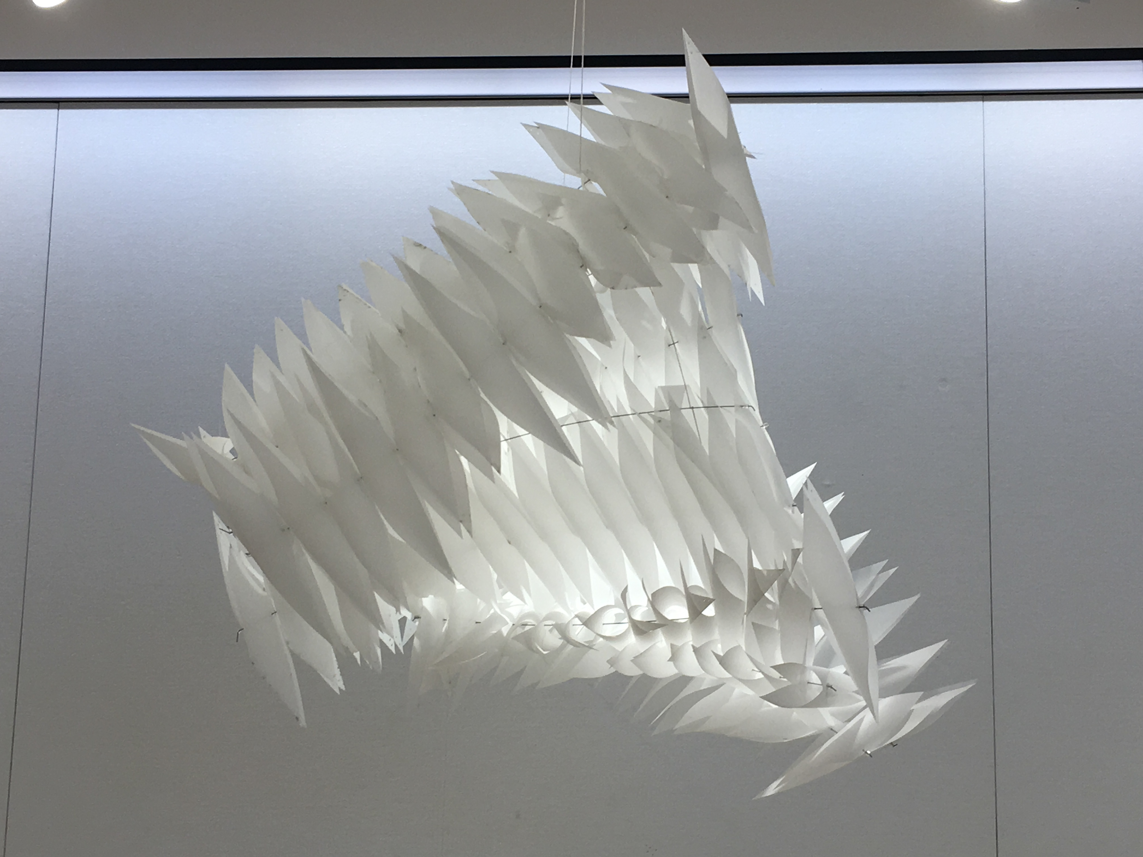 early study model