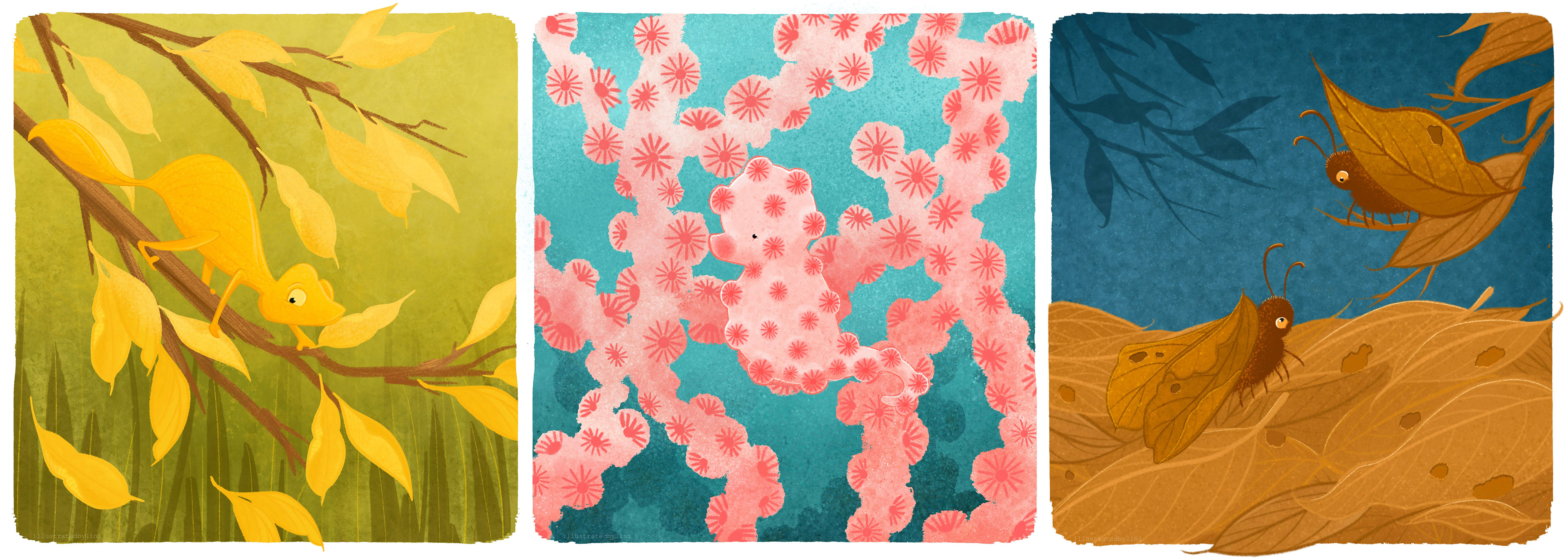 illustration of a leaf gecko, pygmy seahorse and leaf moth using camouflage