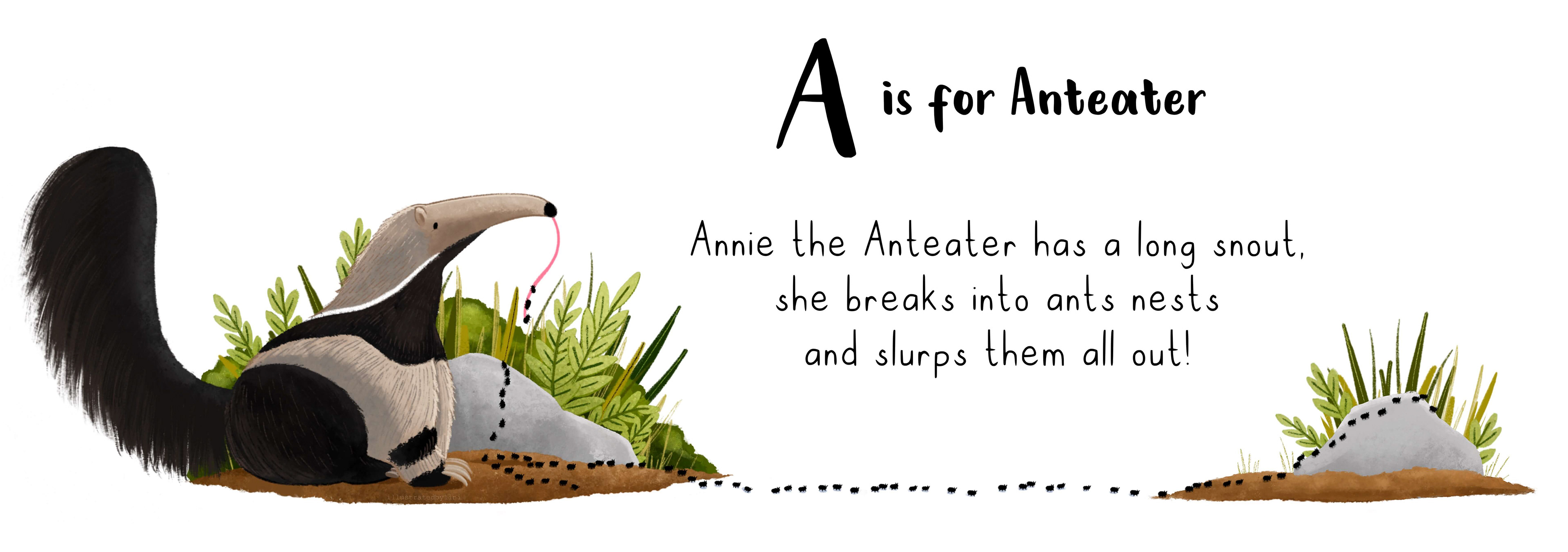 anteater alphabet rhyming book