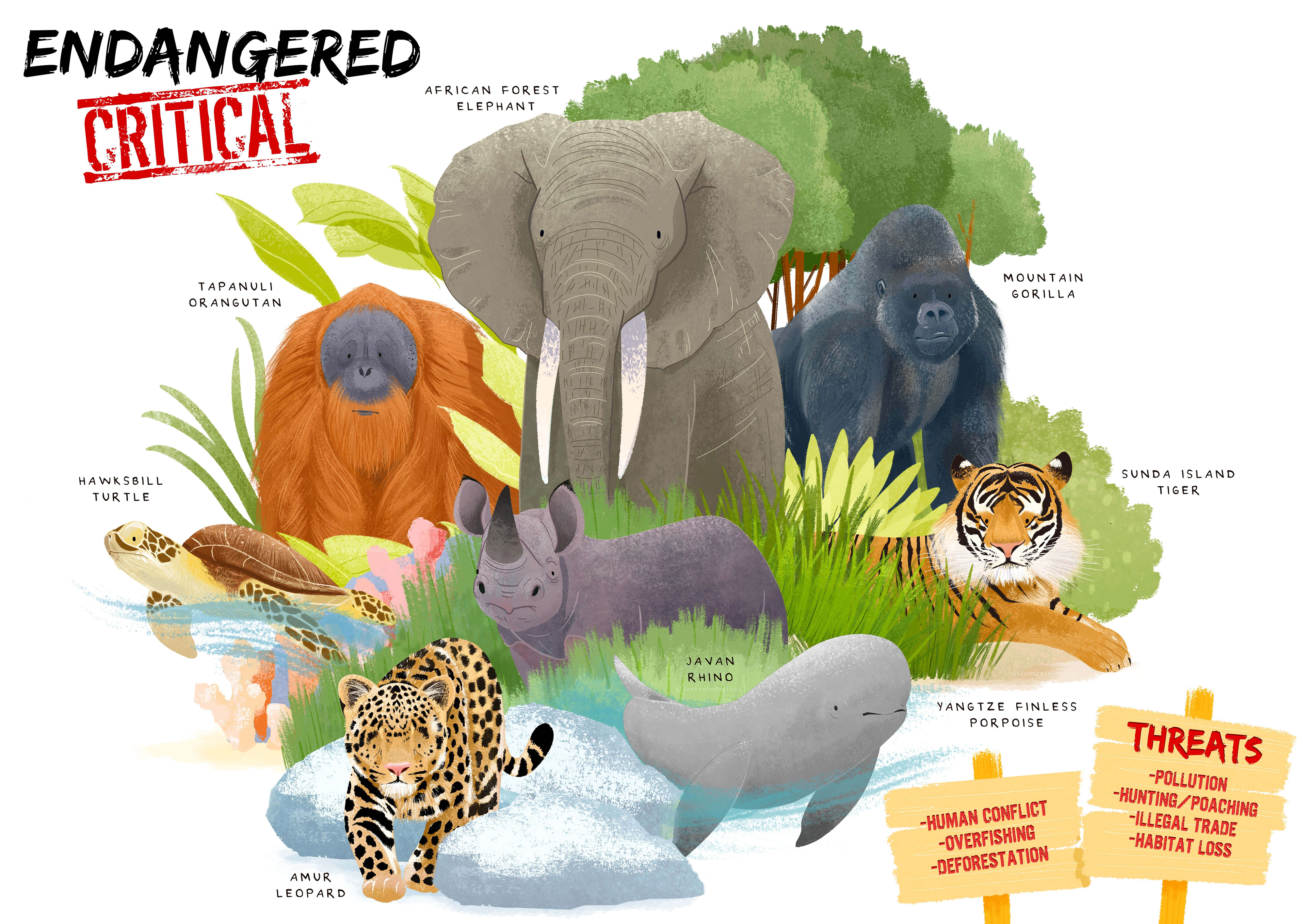 illustration of endangered and critical animal species