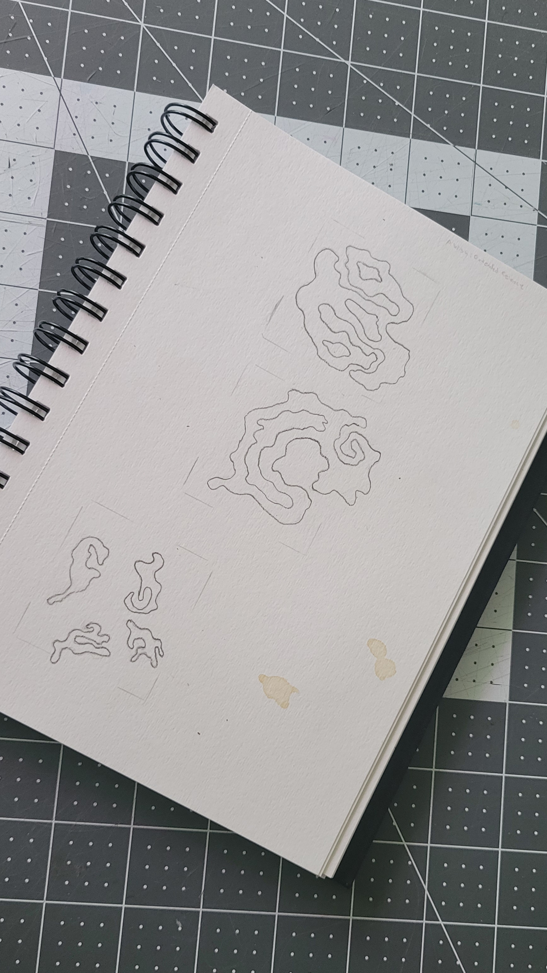 conception & drawing