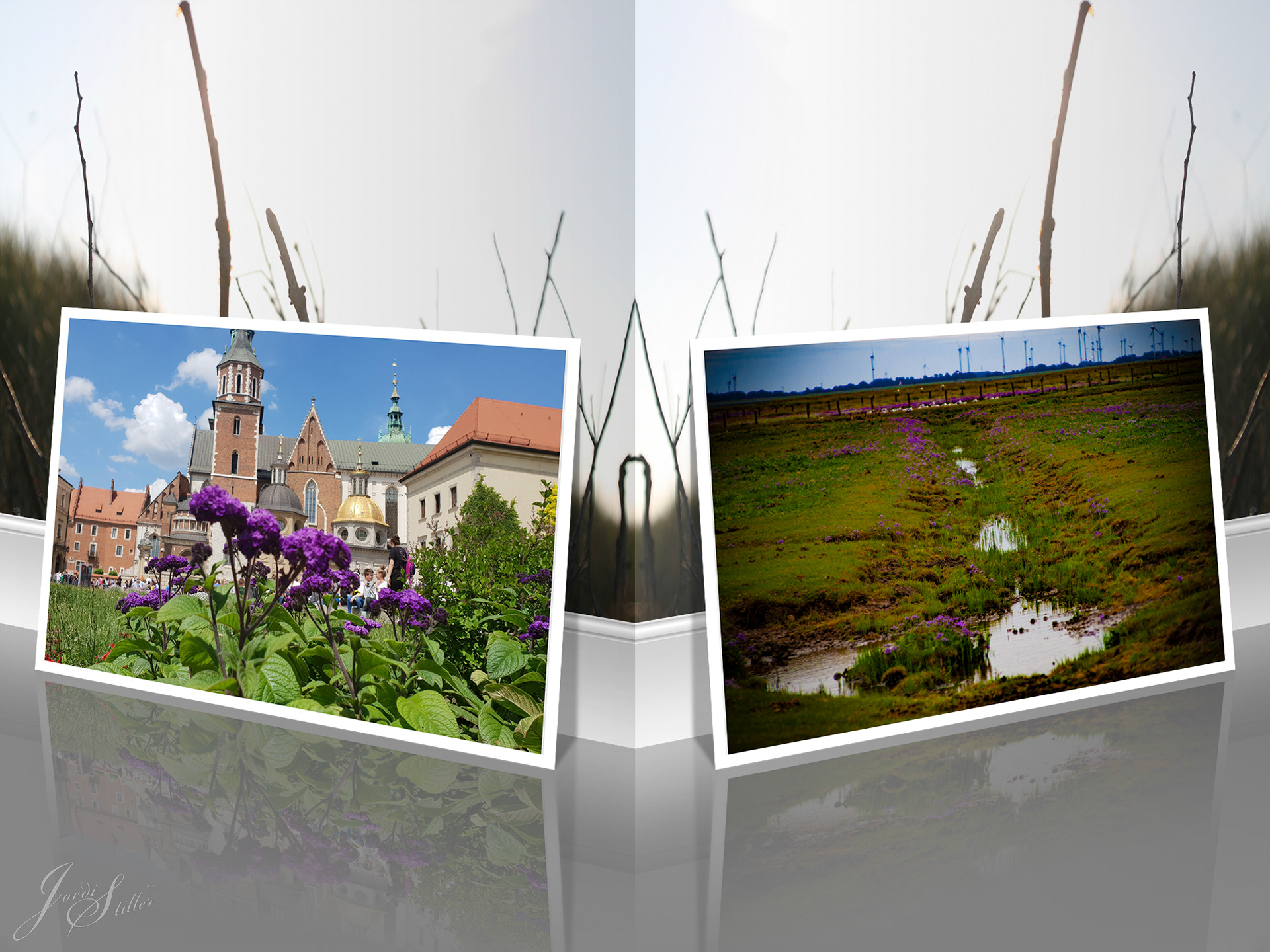 Bilder an einer Bilderwand