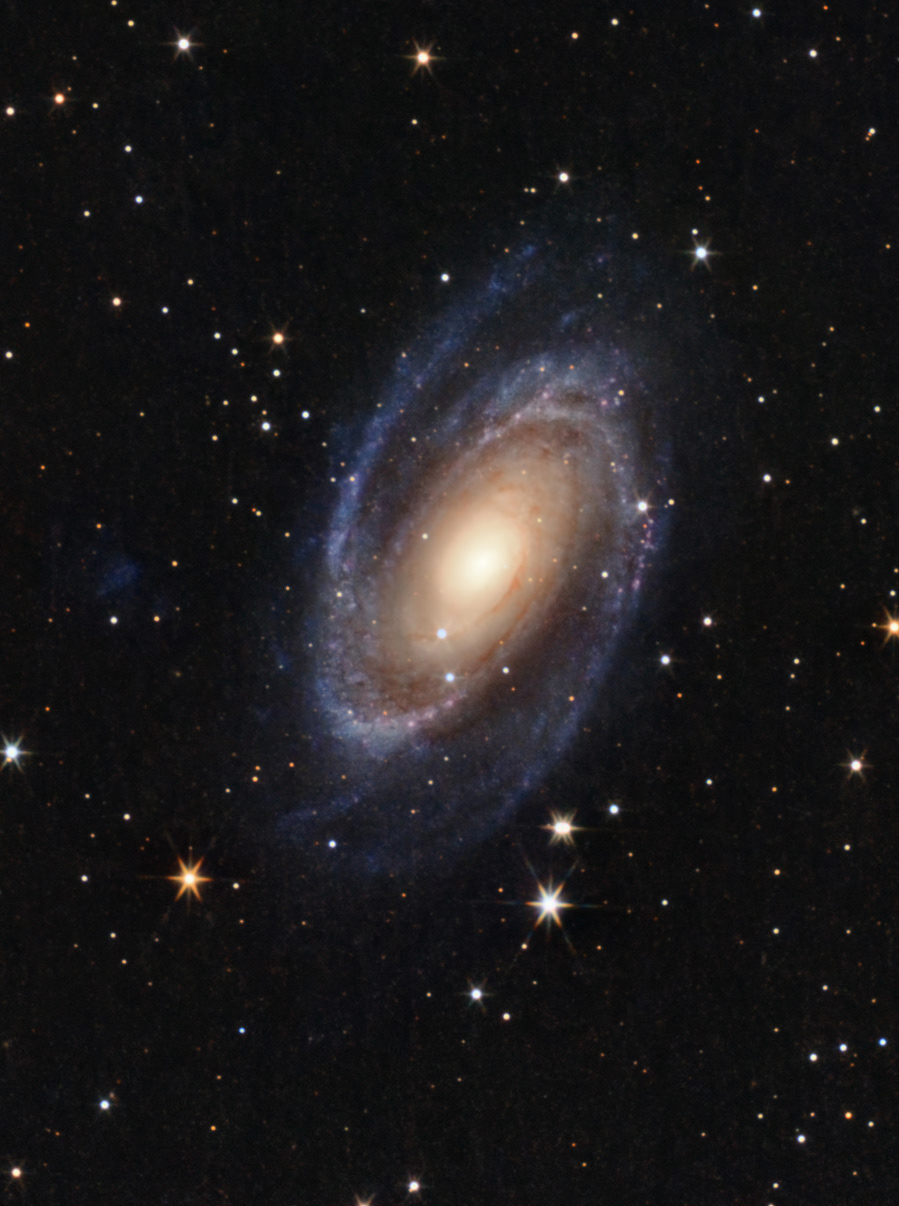 M81