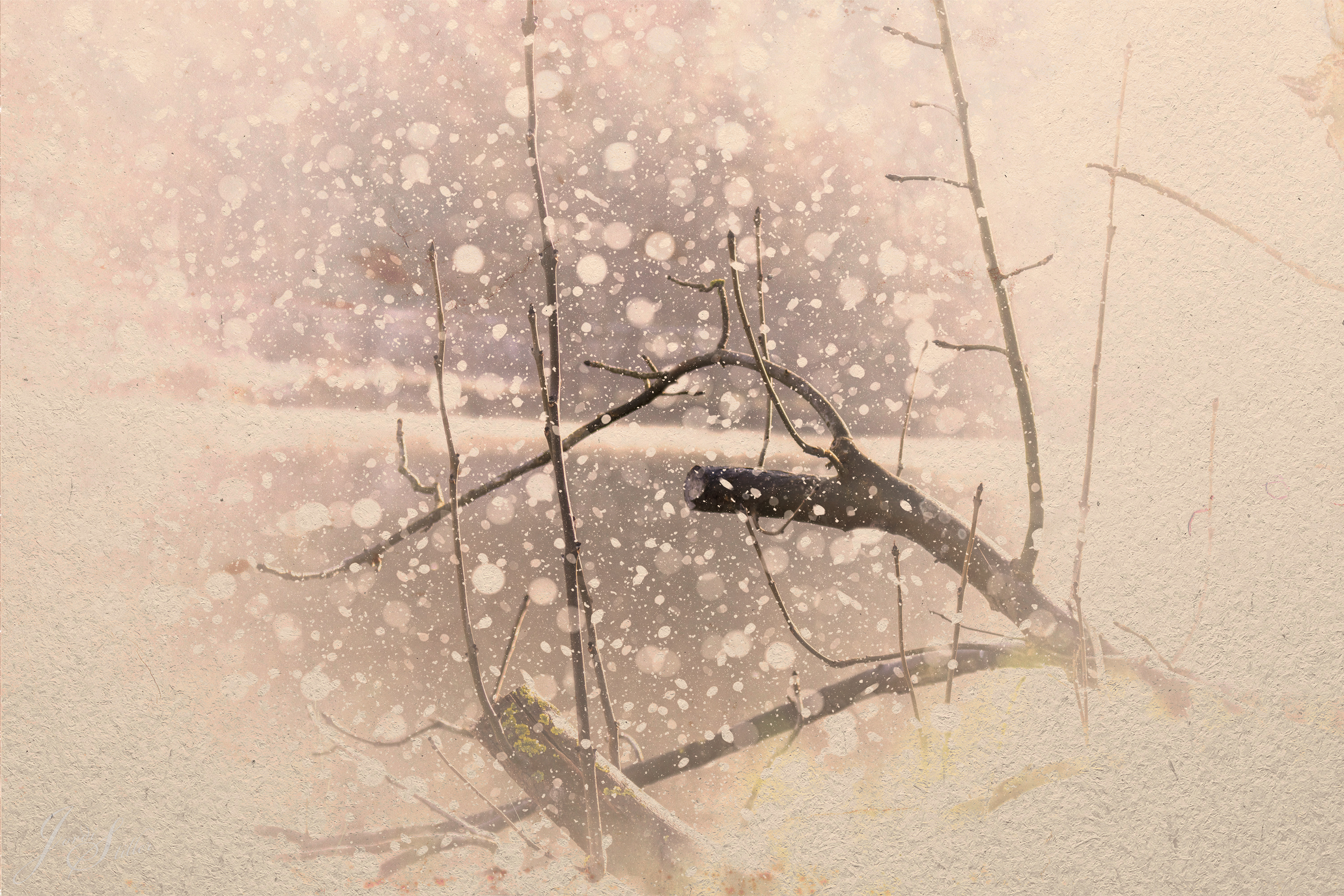 Winter-Bild