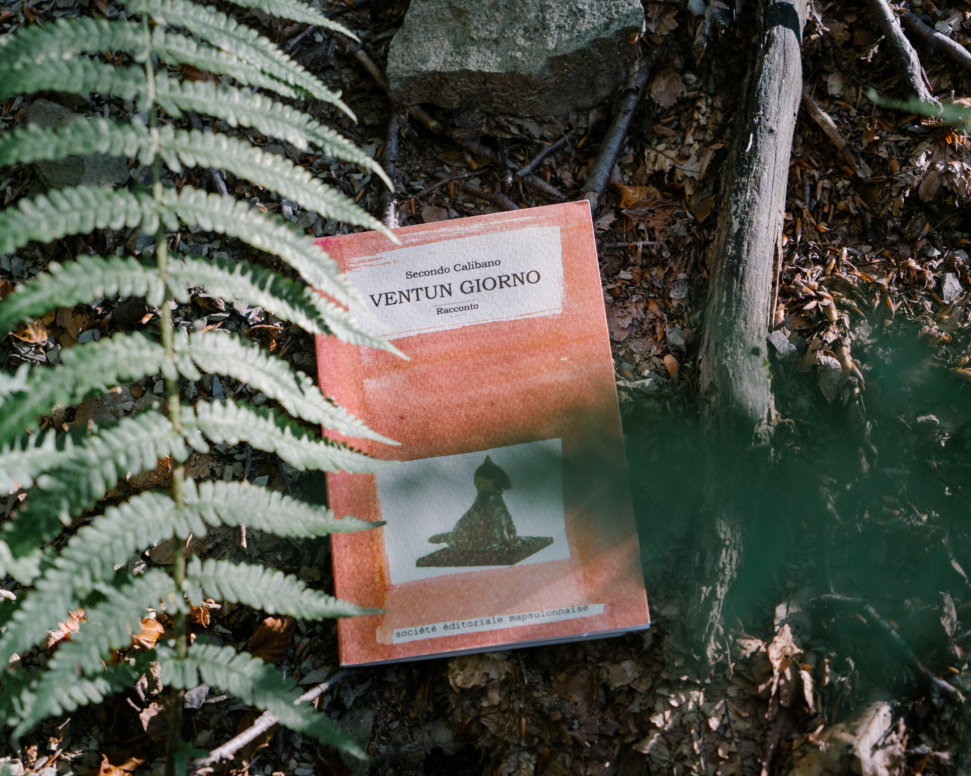 The Mapsulon Publishing Company ("Société éditoriale mapsulonnaise") is the real heart of this experience. Founded in 1996, it has printed several booklets, tales and even a newspaper, L'eco di Mapsulon, until some years ago