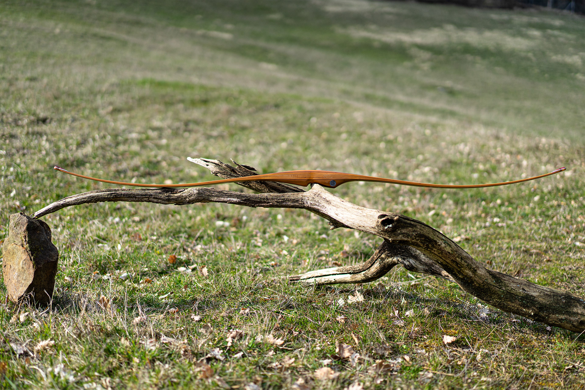 Maurizio Mazzantini longbow Wuwei