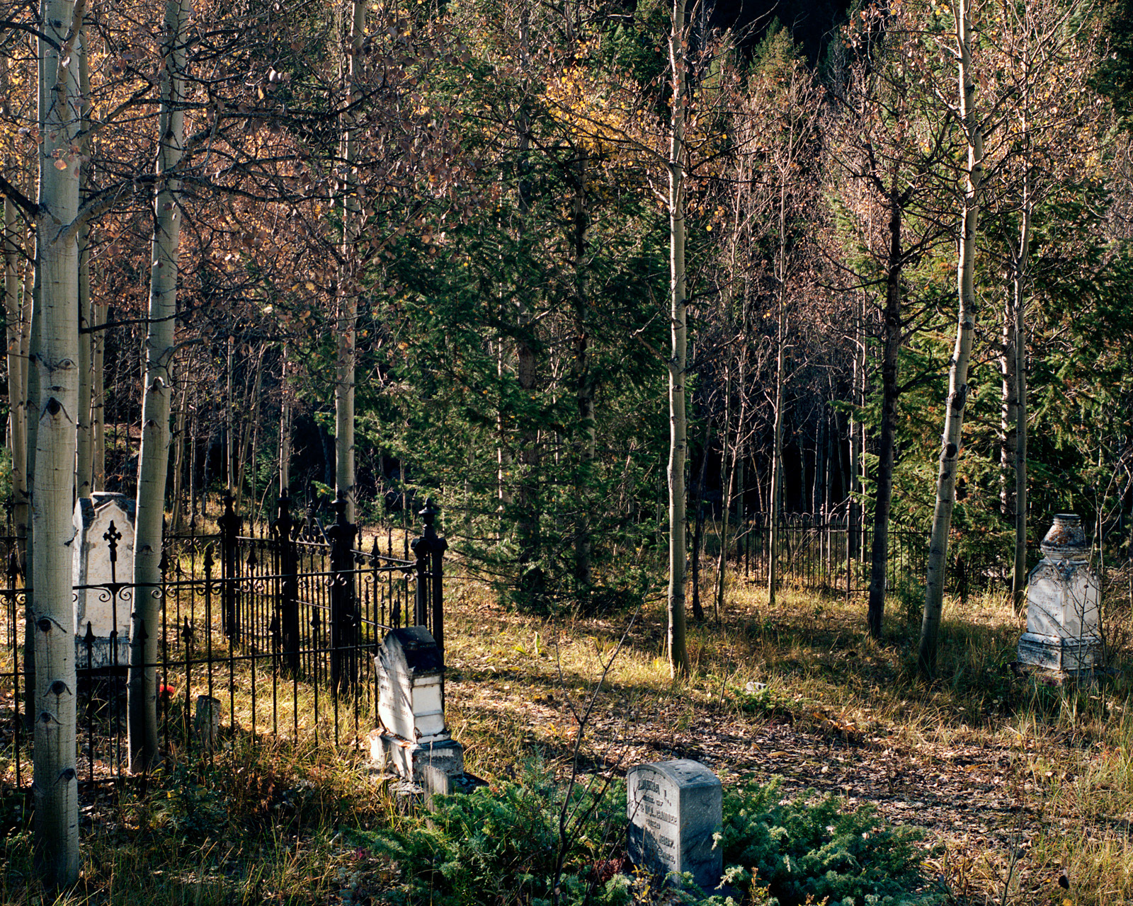 Empire, Colorado, 2012. Pioneer cemetery