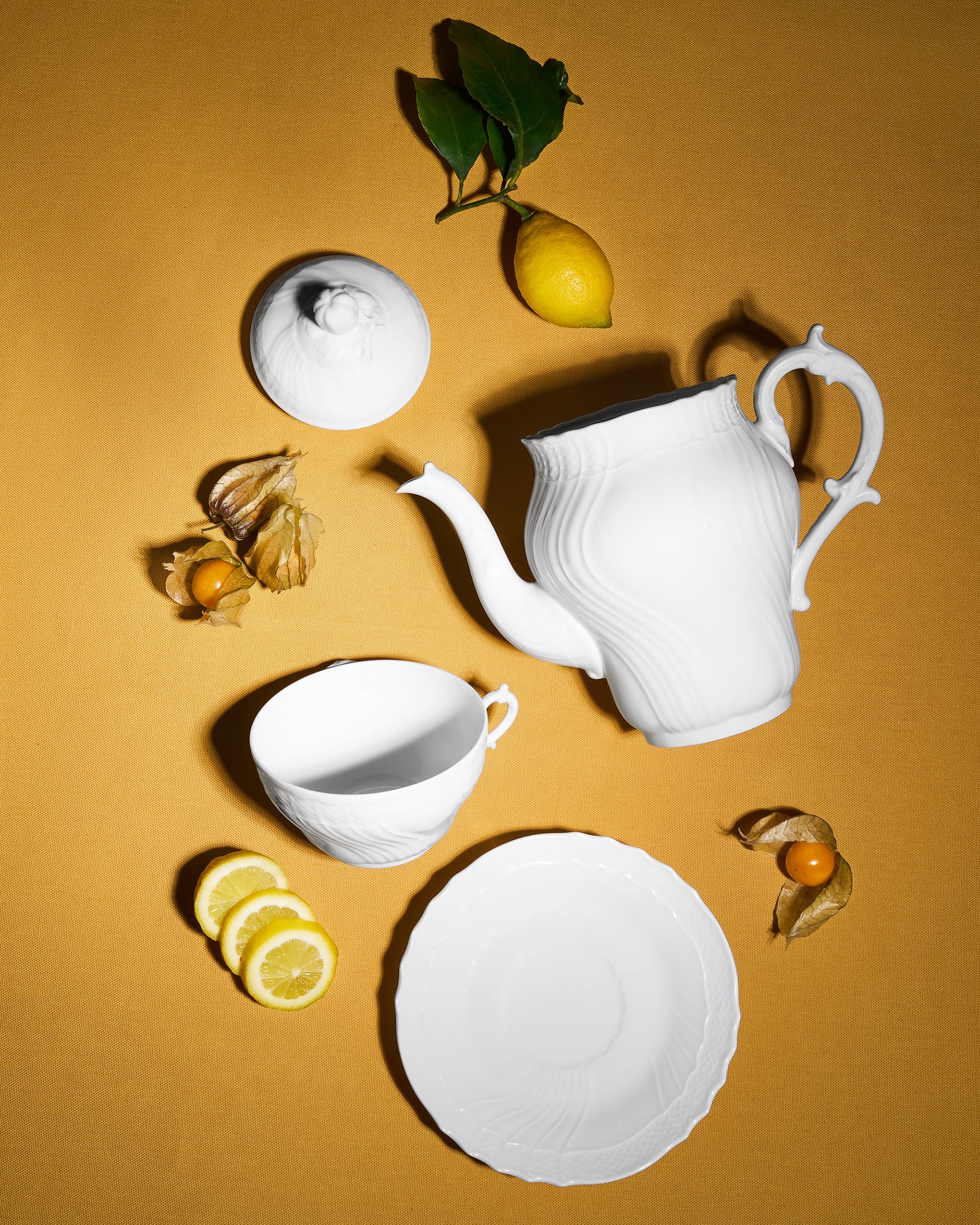 Still life Richard Ginori, collezione Vecchio Ginori