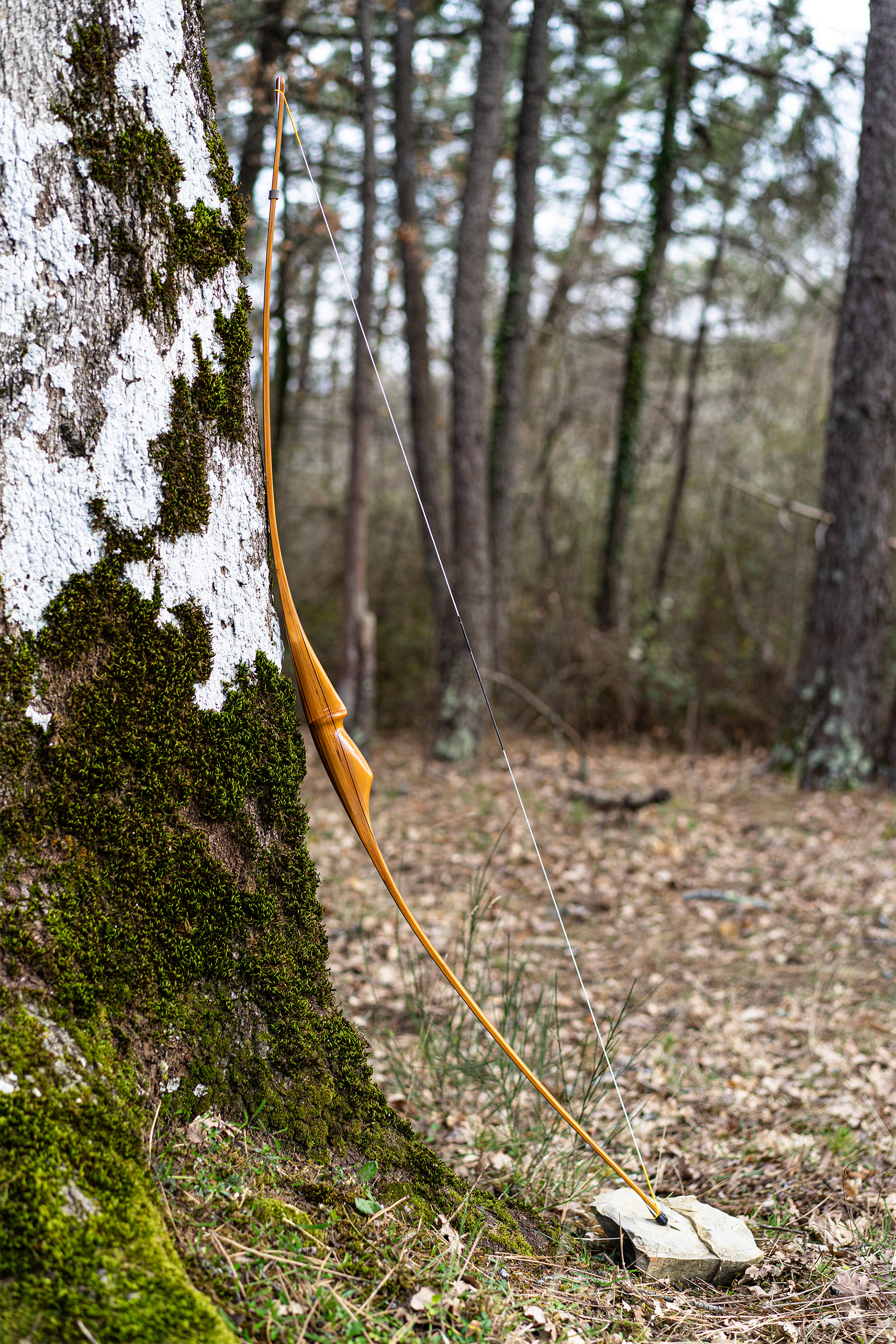Maurizio Mazzantini longbow Wuwei