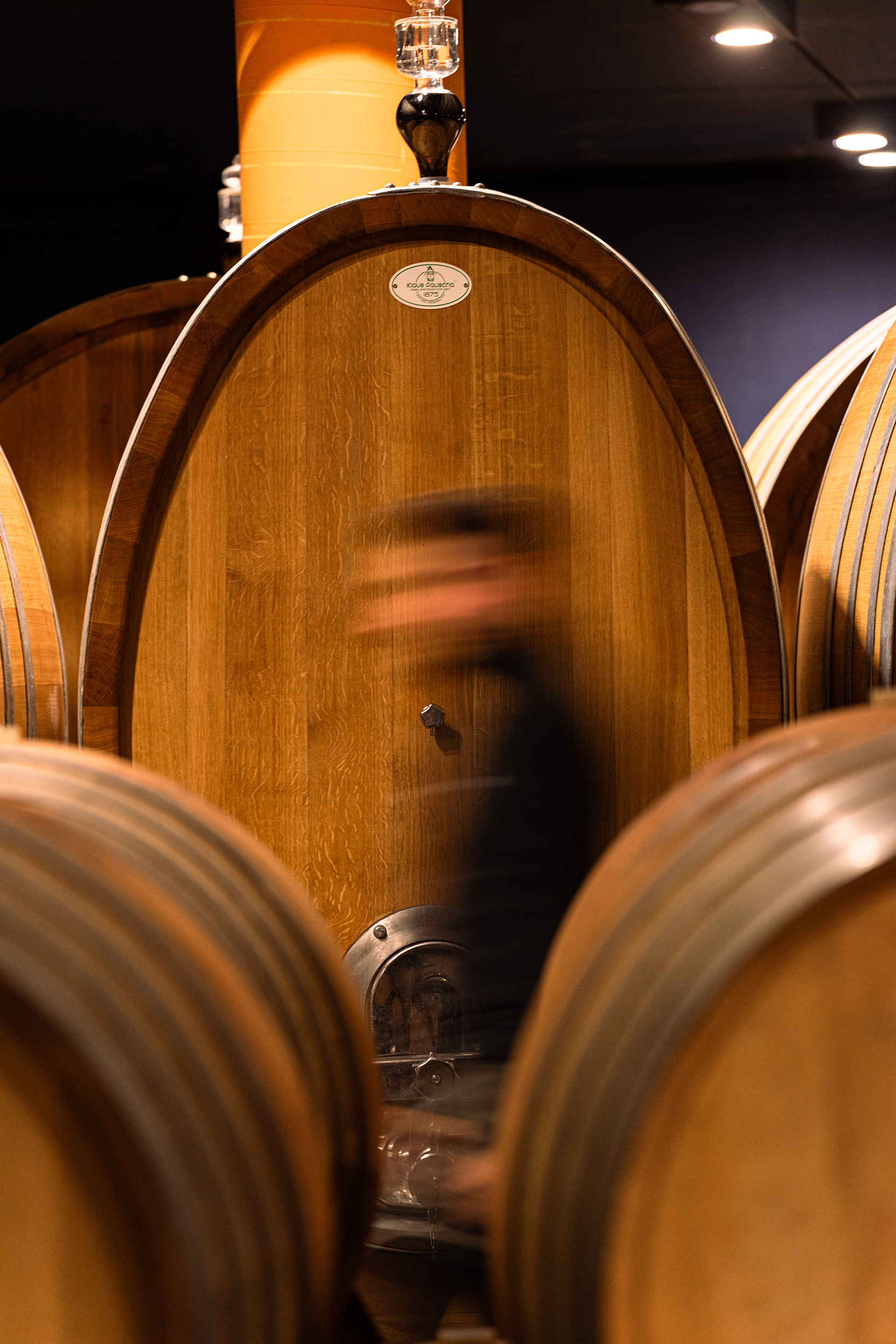 Nella cantina Val di Suga