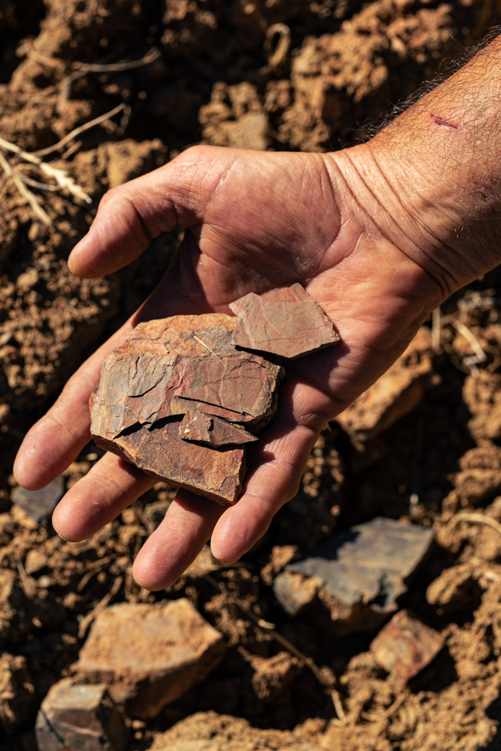 Galestro che caratterizza il terroir di Poggio al Granchio
