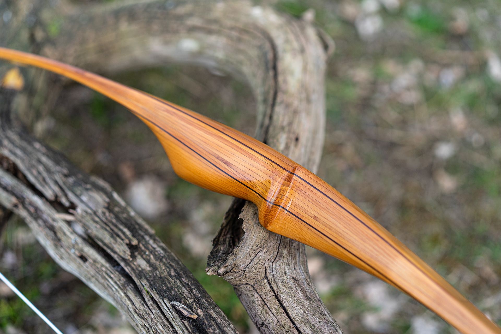Maurizio Mazzantini longbow Wuwei
