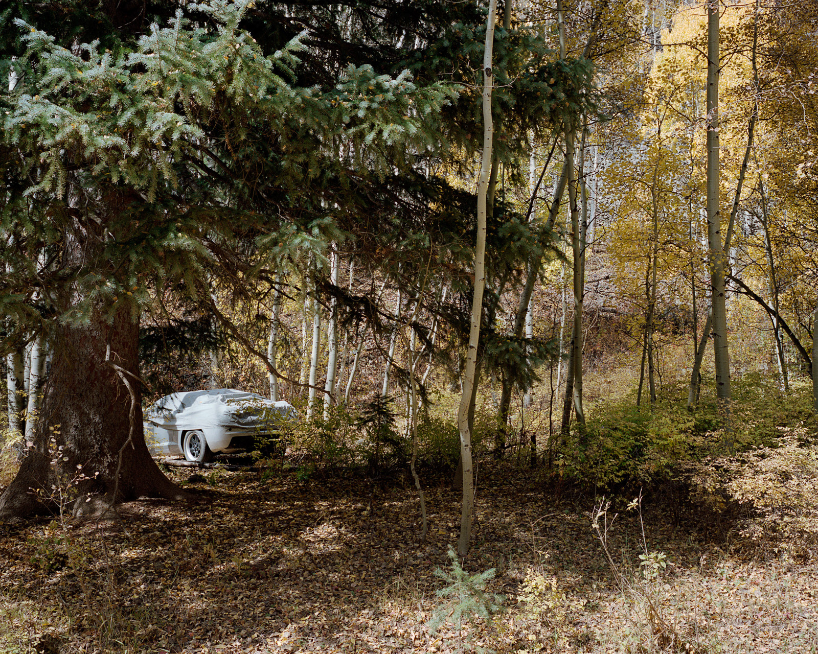 Mayday, Colorado, 2012