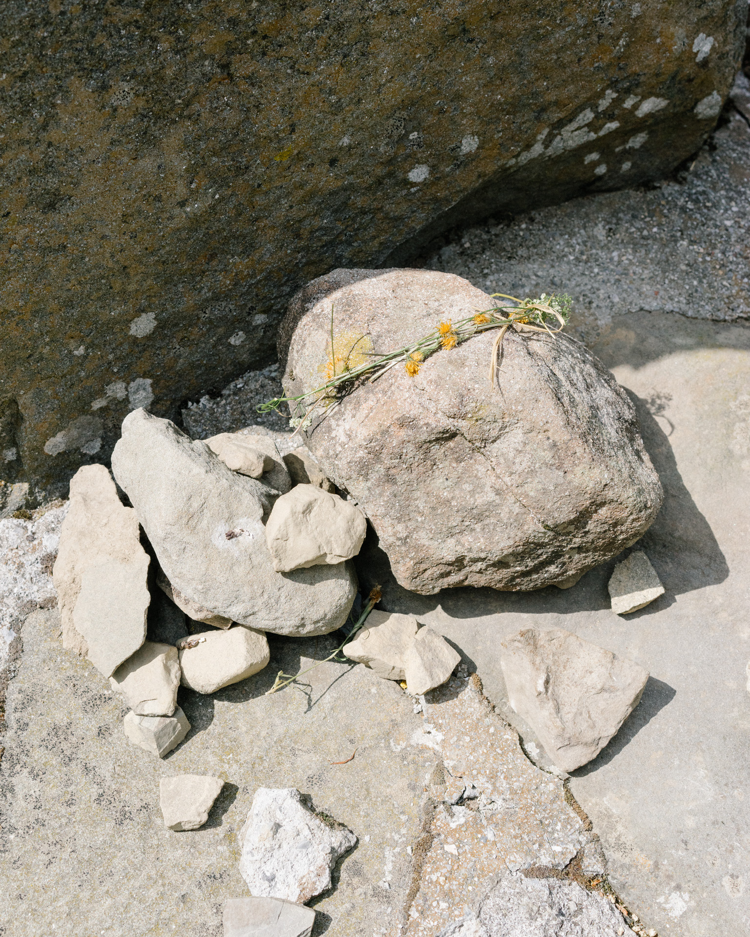 Flowers in front of the cippus that stands in the forests of Mapsulon to pay homage and to preserve the memory of the Partisans who lost their lives in anti-fascist actions during WWII