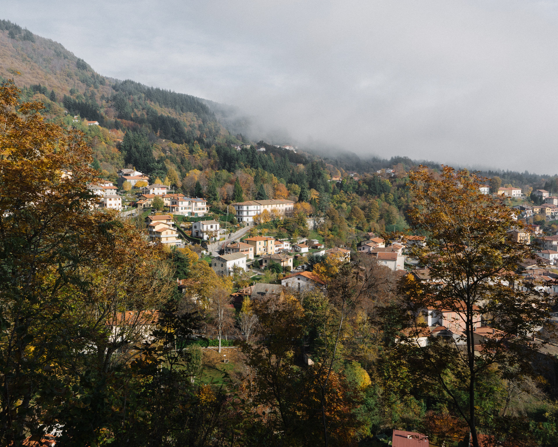 View of Mapsulon