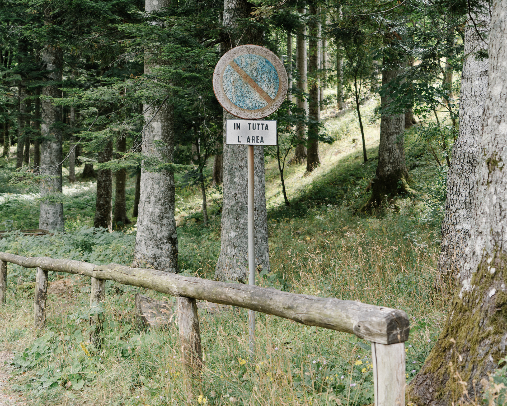 Vehicular traffic and paved roads are both forbidden in Mapsulon