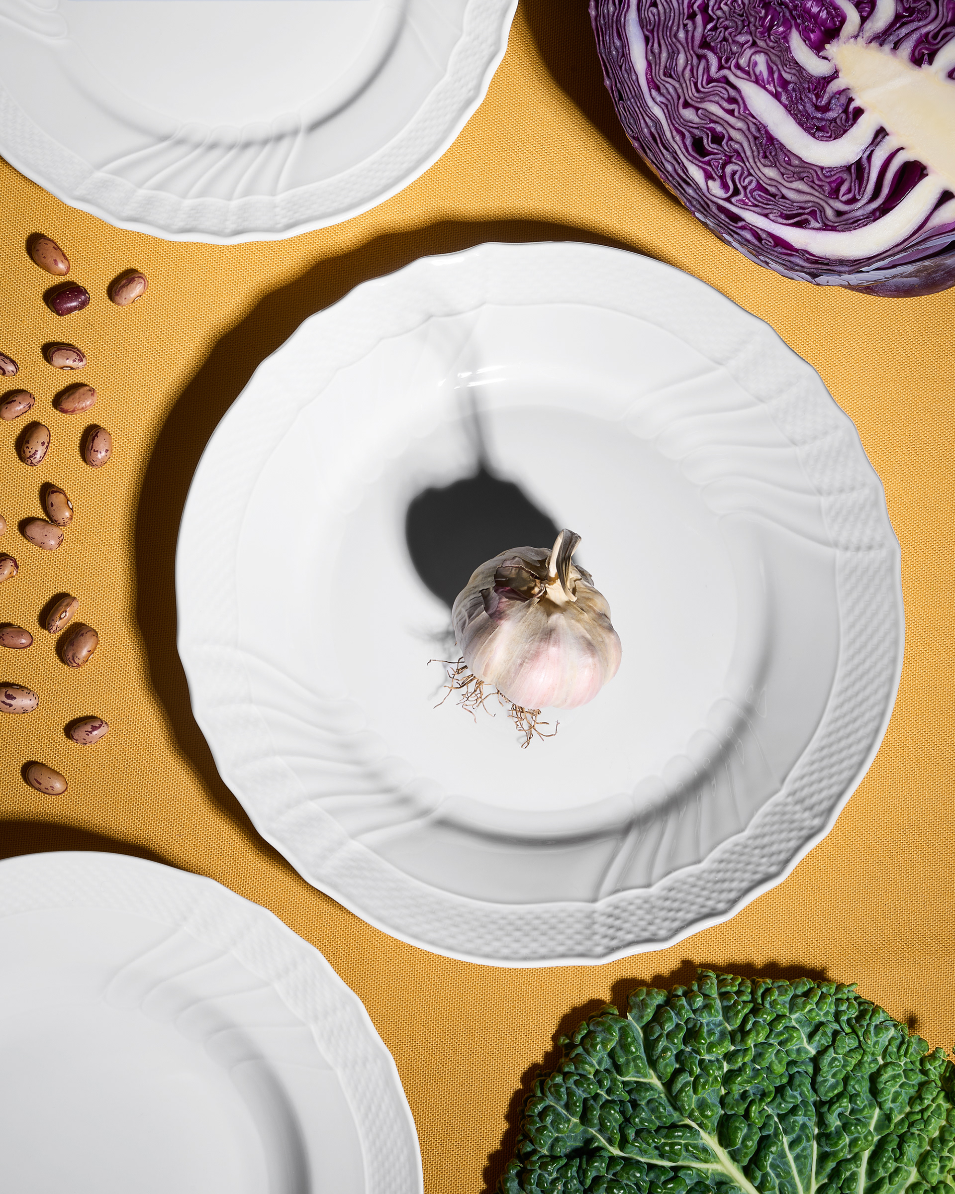 Richard Ginori - Collezione Vecchio Ginori