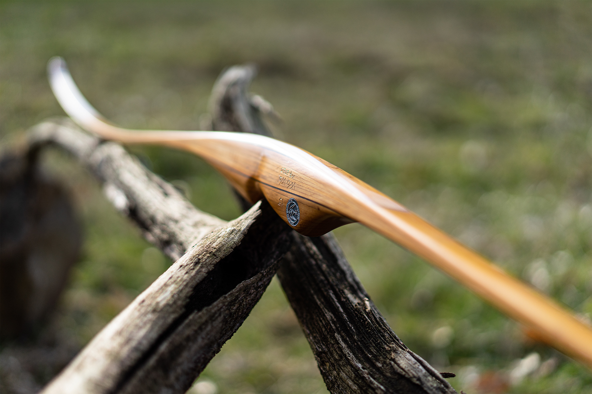 Maurizio Mazzantini longbow Wuwei