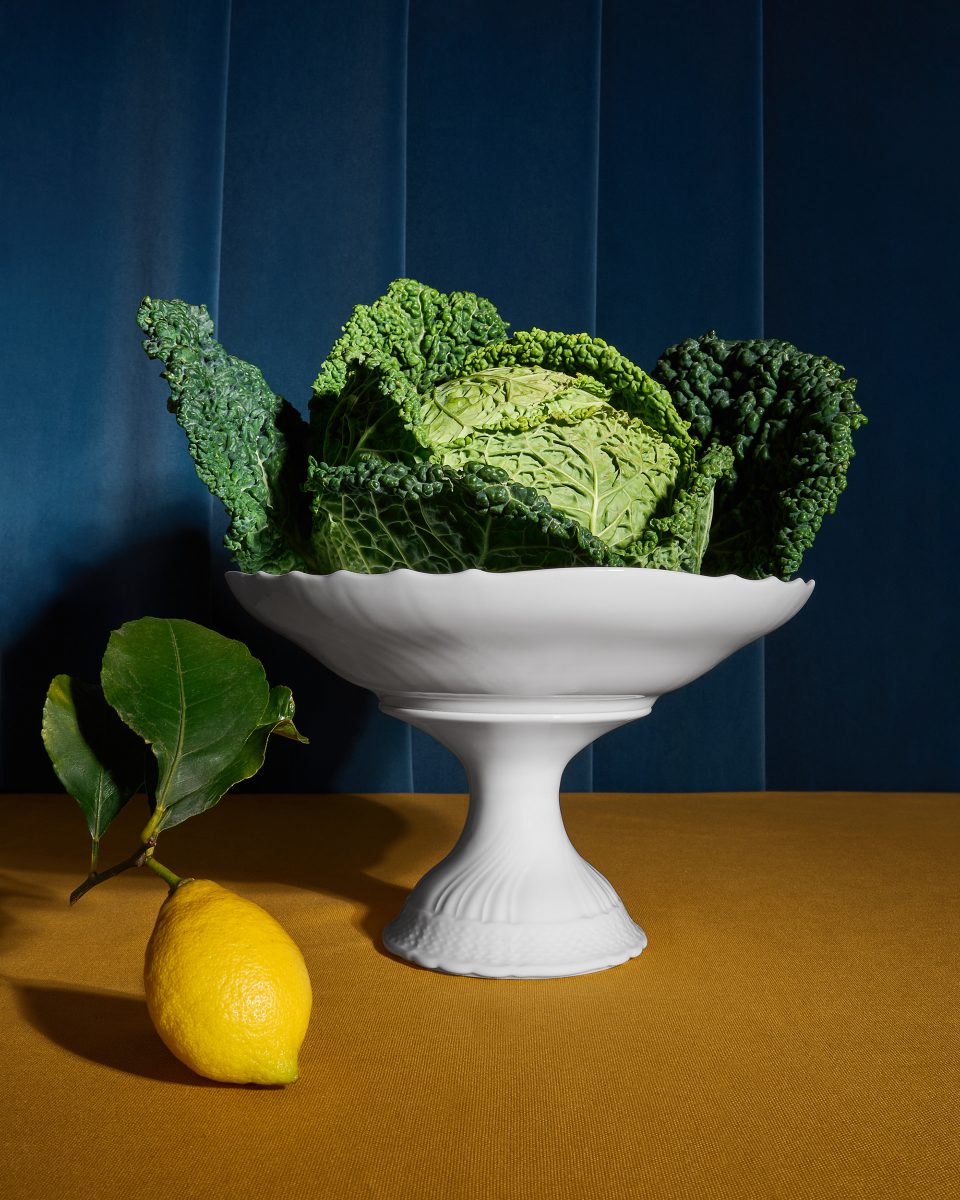 Still life Richard Ginori, collezione Vecchio Ginori