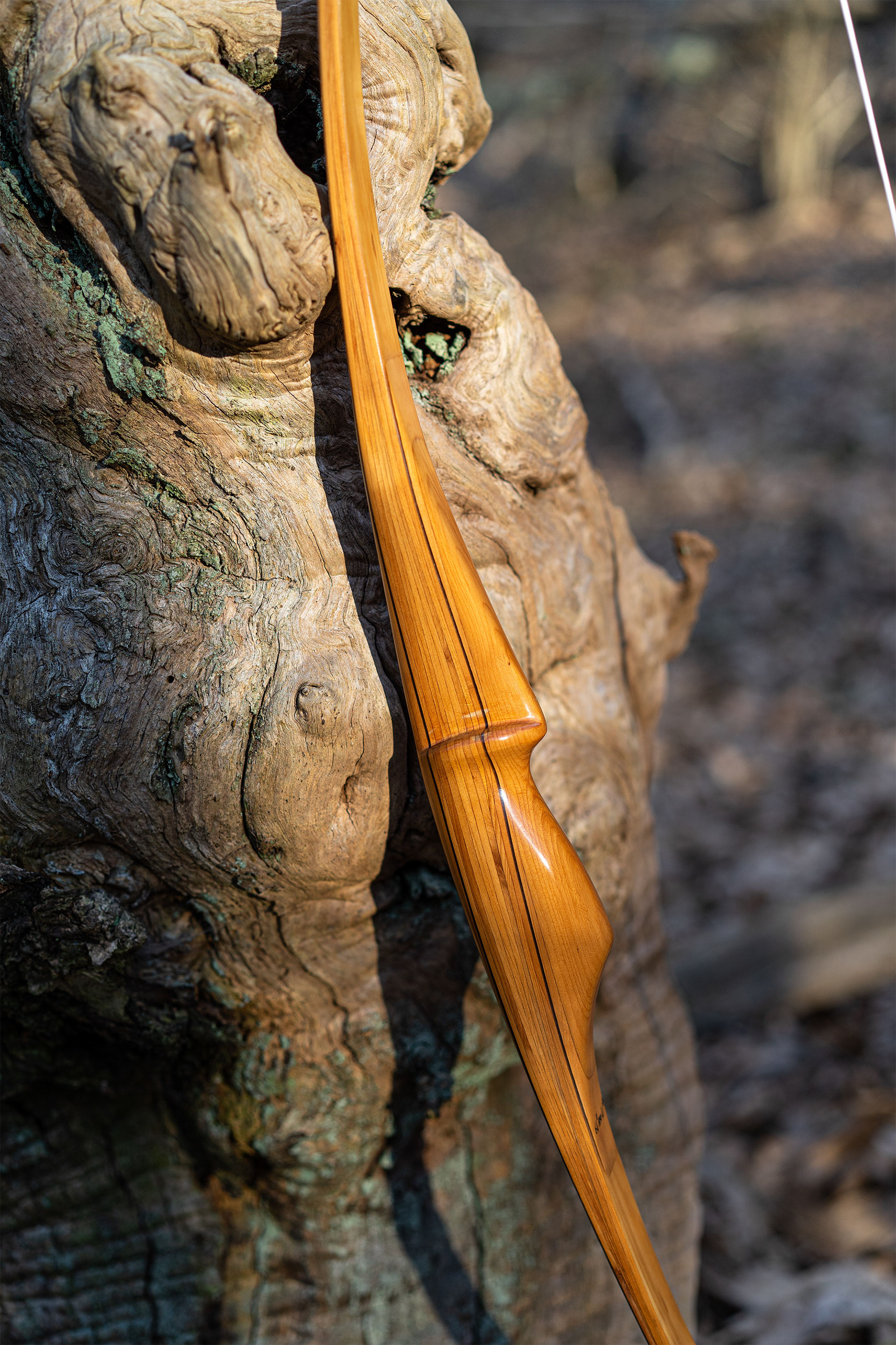 Maurizio Mazzantini longbow Wuwei