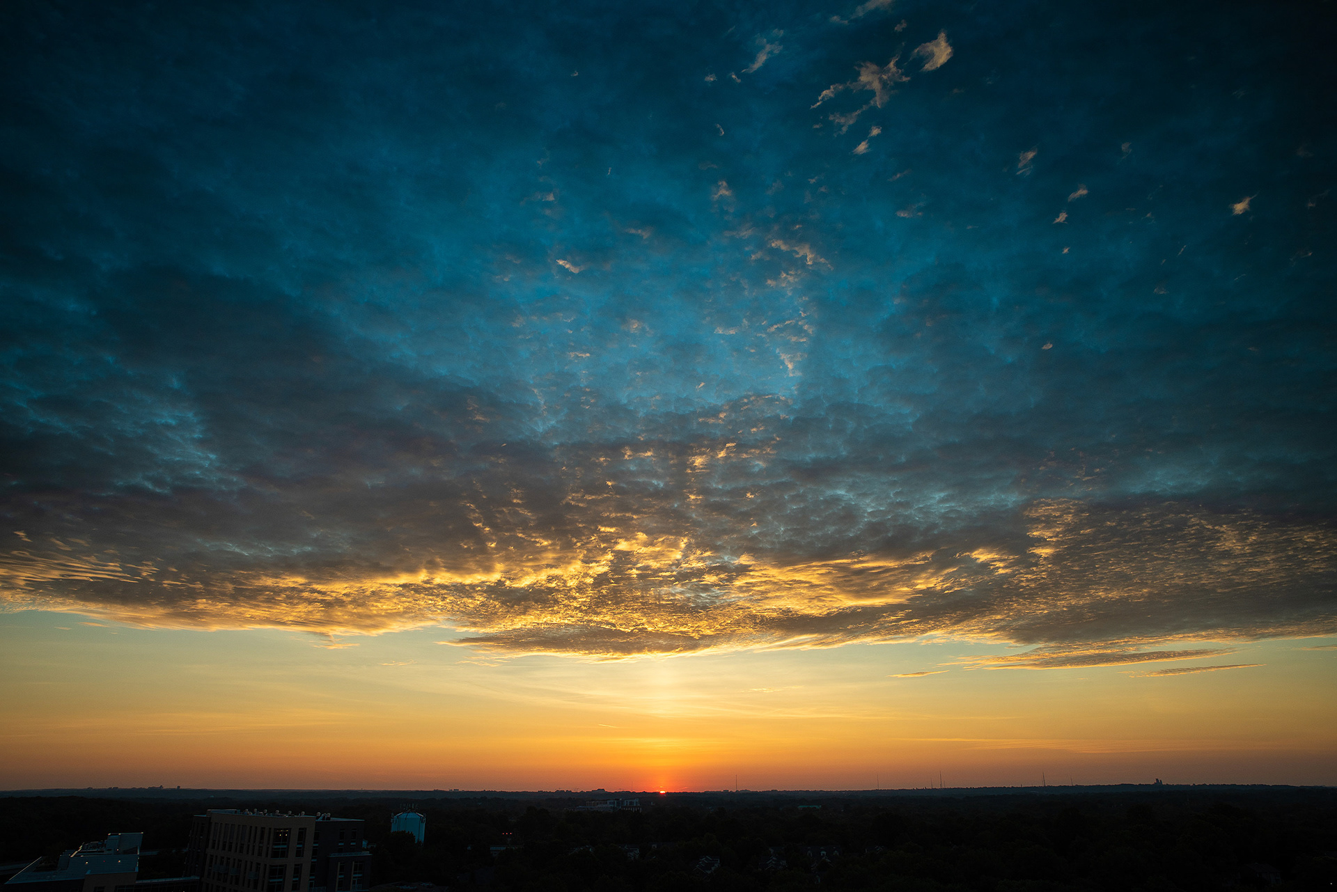 June 24, 2019