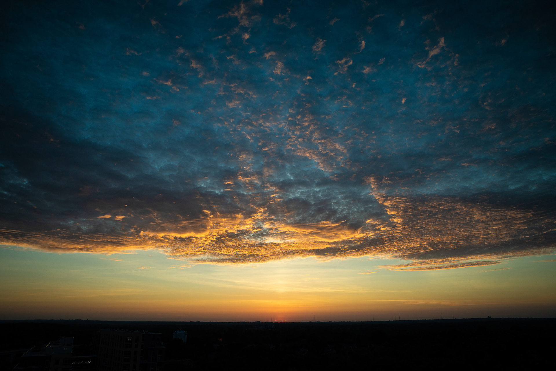 June 24, 2019