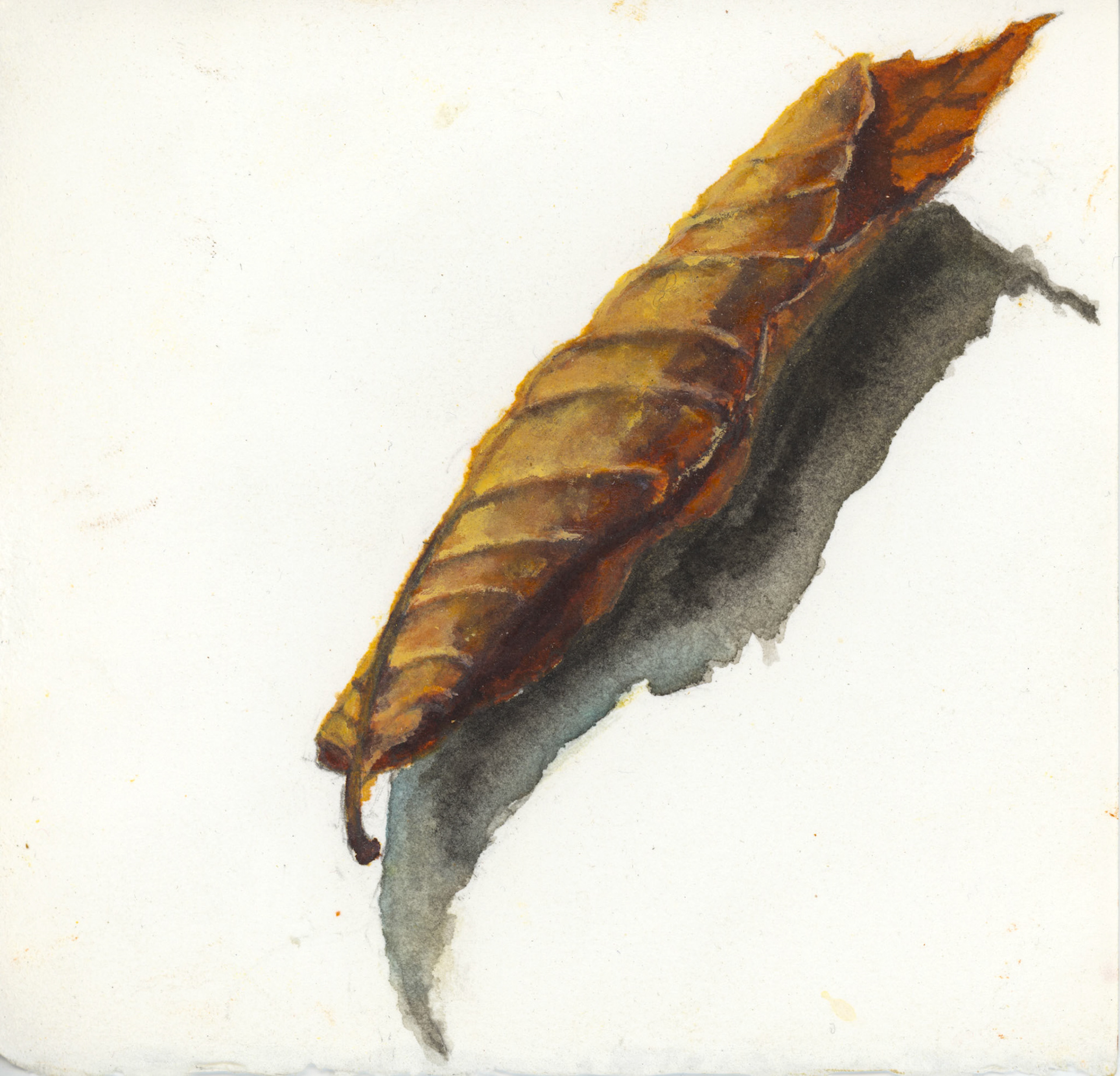 ‘Leaf 9’ Ink & Acrylic on paper, 2021