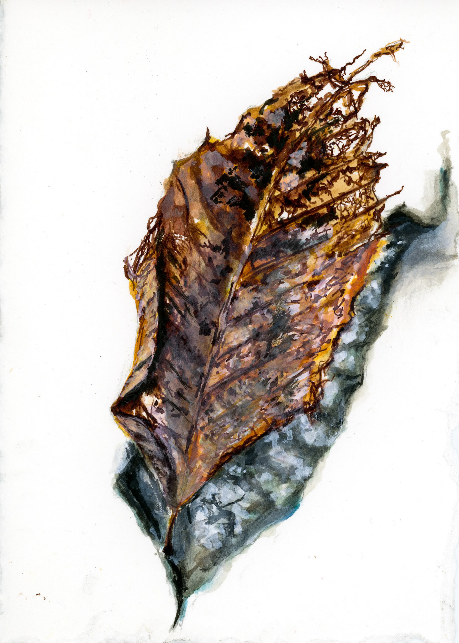 ‘Leaf 3’ Ink & Acrylic on paper, 2020