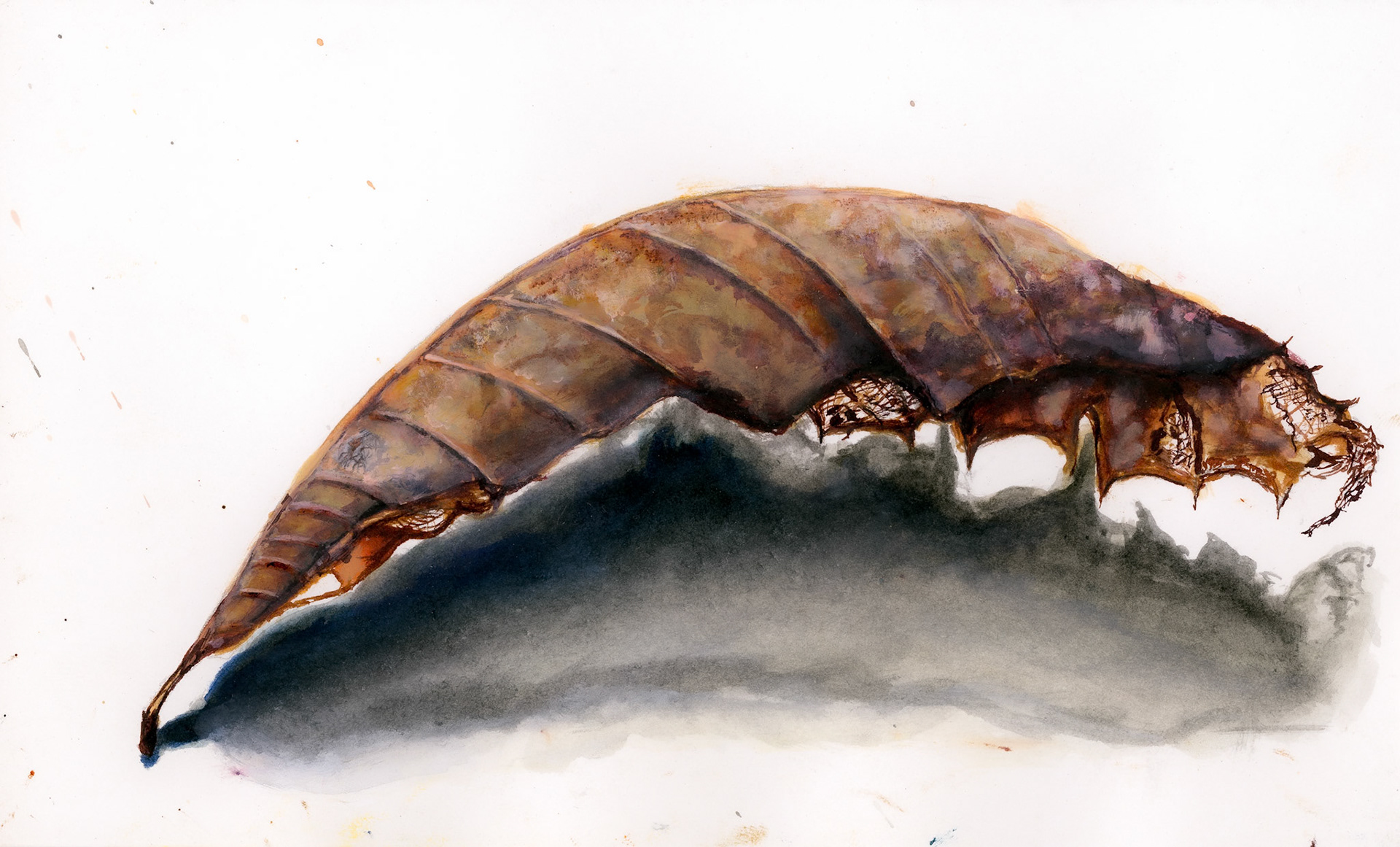 ‘Leaf 4’ Ink & Acrylic on paper 2020