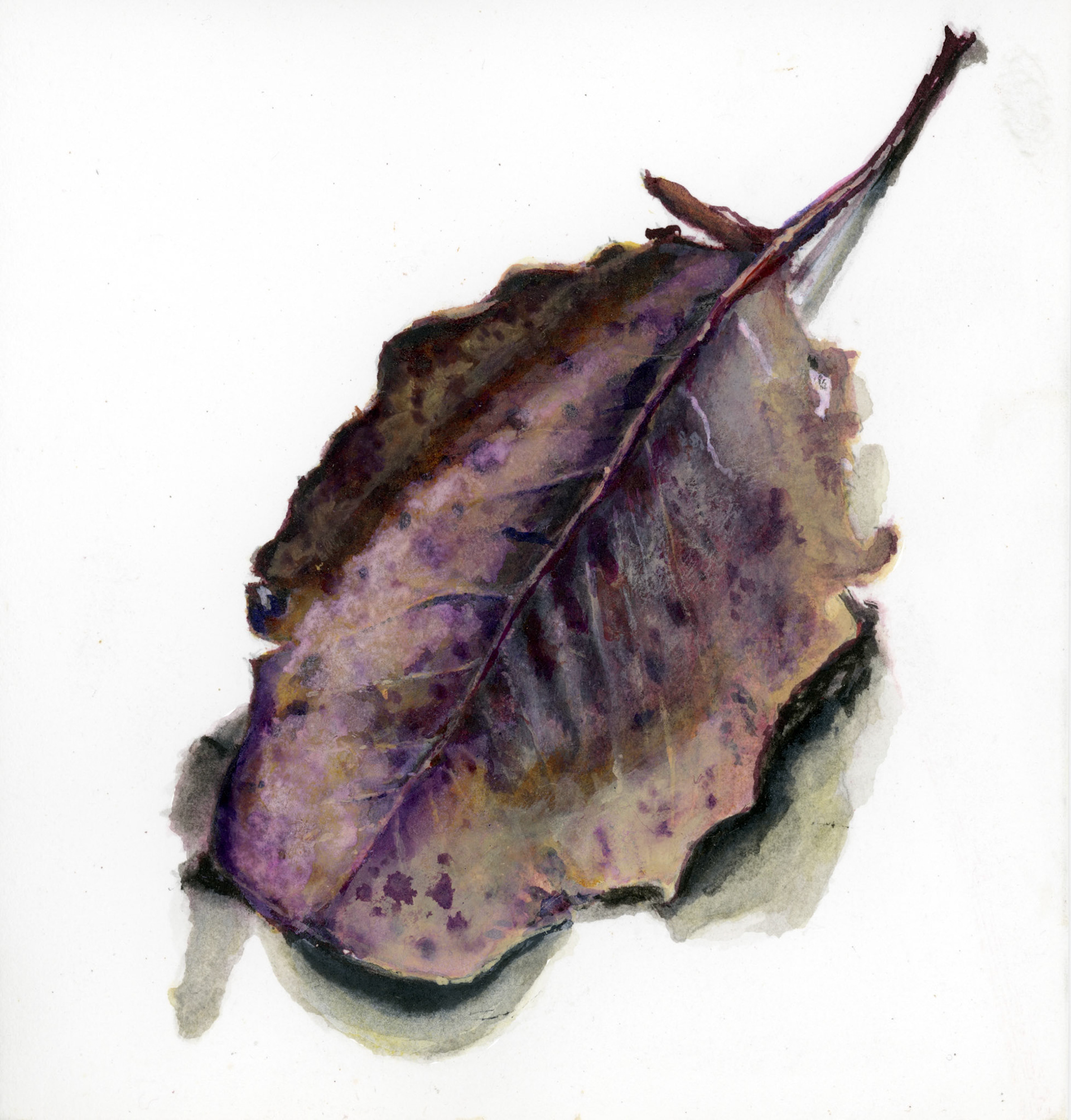 ‘Leaf 10’ Ink & Acrylic on paper, 2021