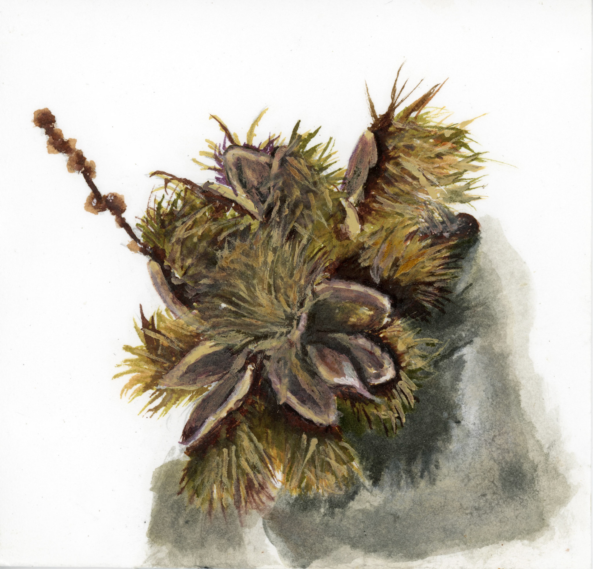 ‘Pod 2’ Ink and Acrylic on paper,' 2023