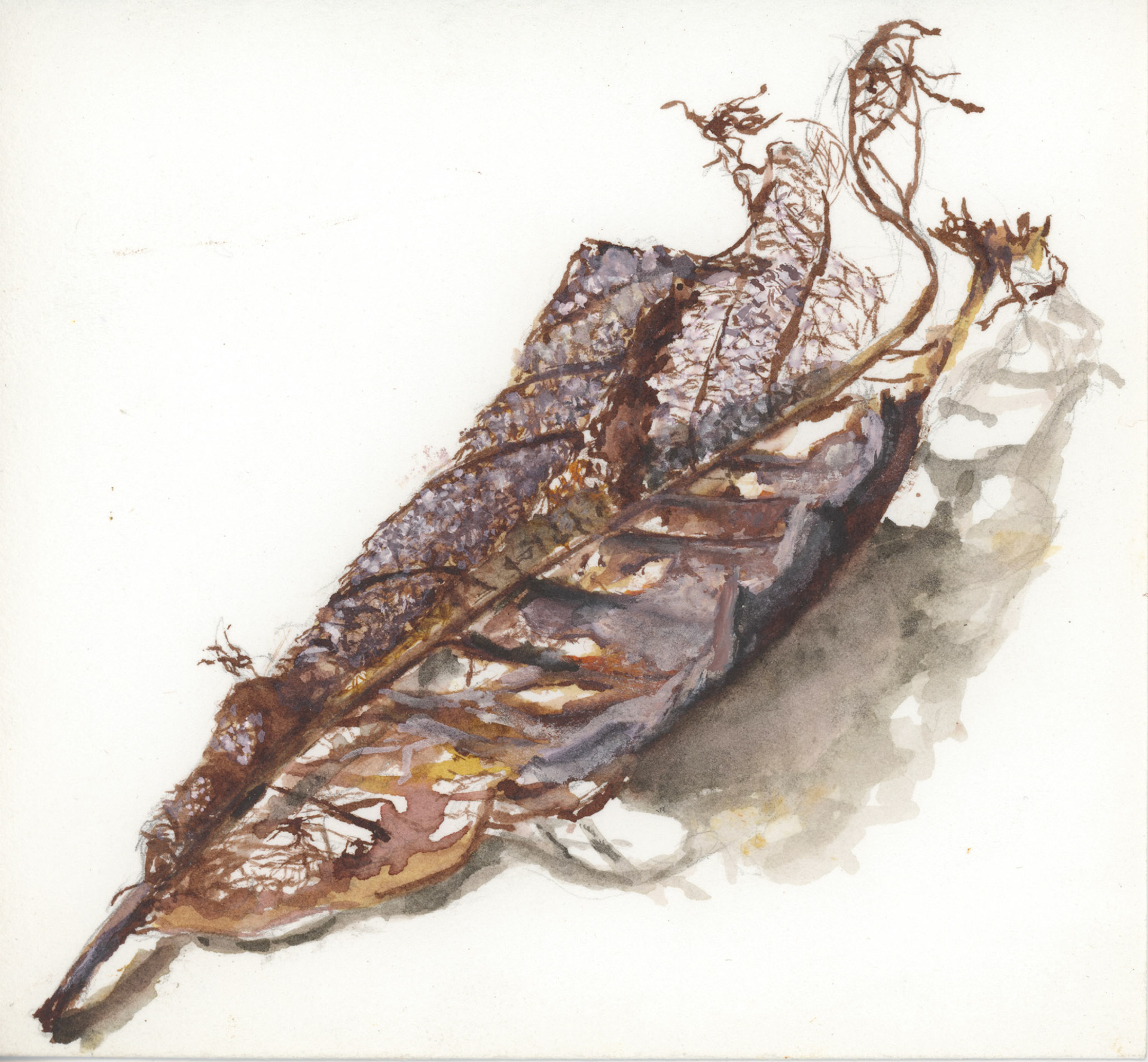 ‘Leaf 8’ Ink & Acrylic on paper, 2021