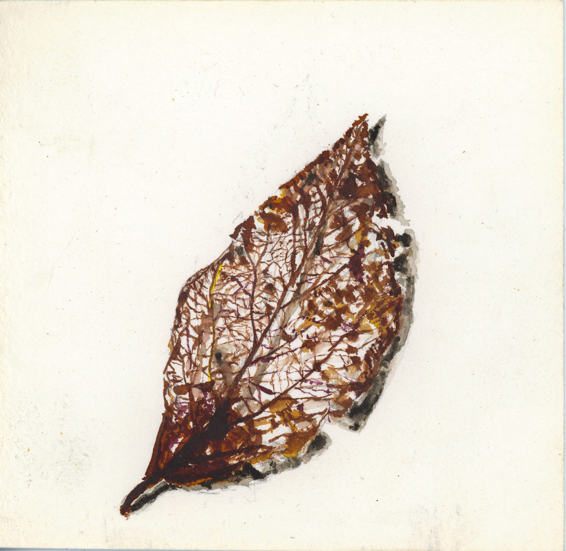 ‘Leaf 7’ Ink & Acrylic on paper, 2021