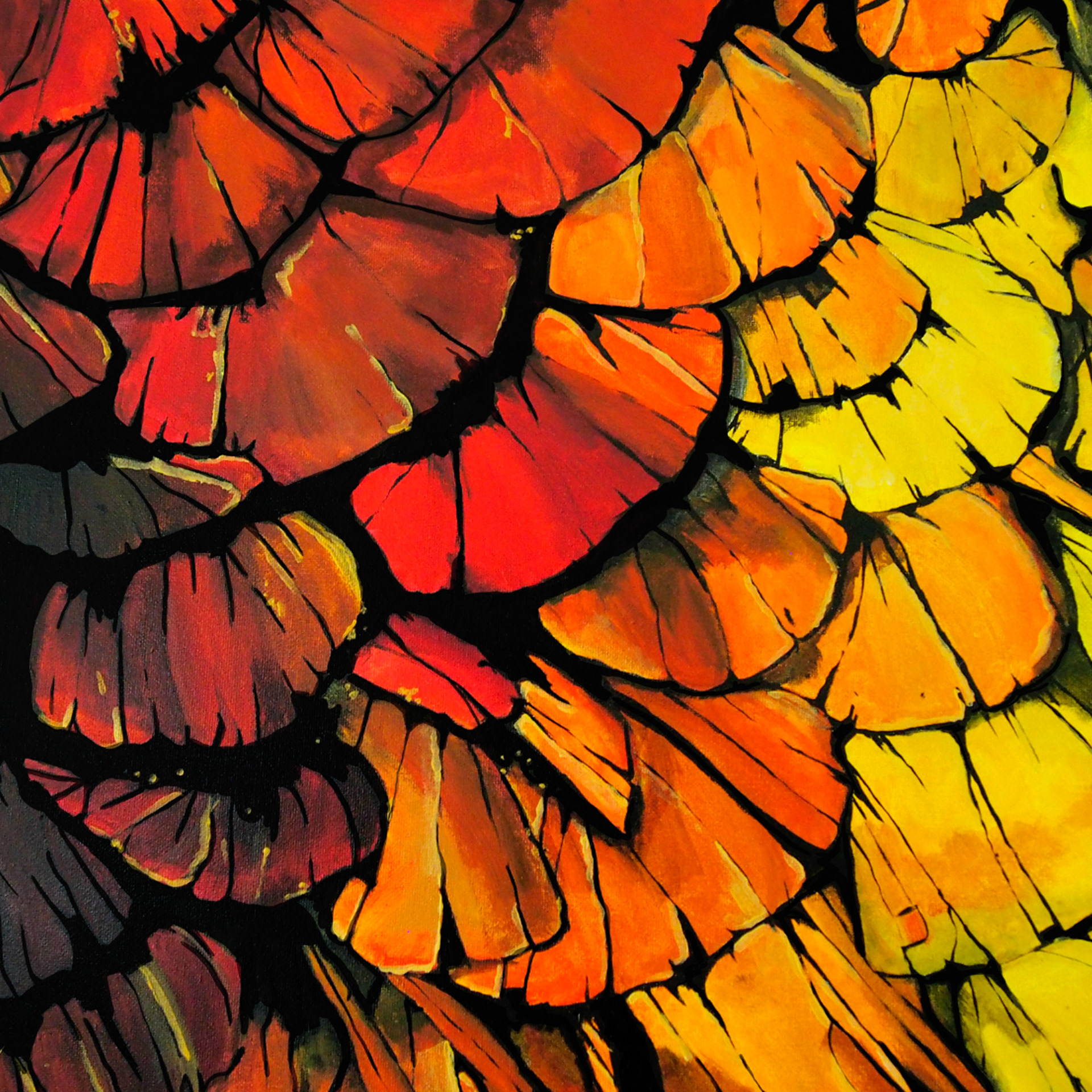 Hummingbird Feathers