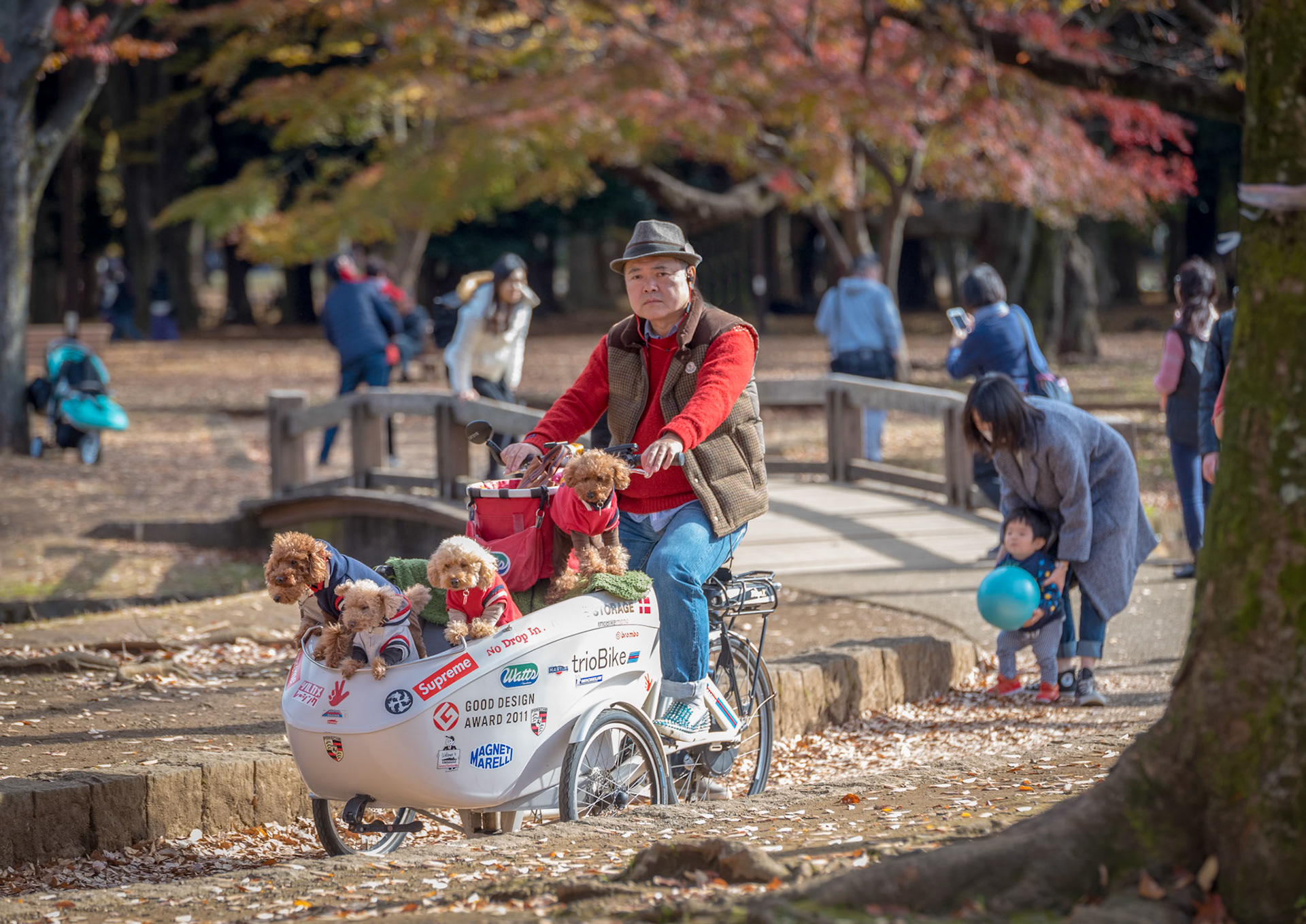 Japanese Park Life