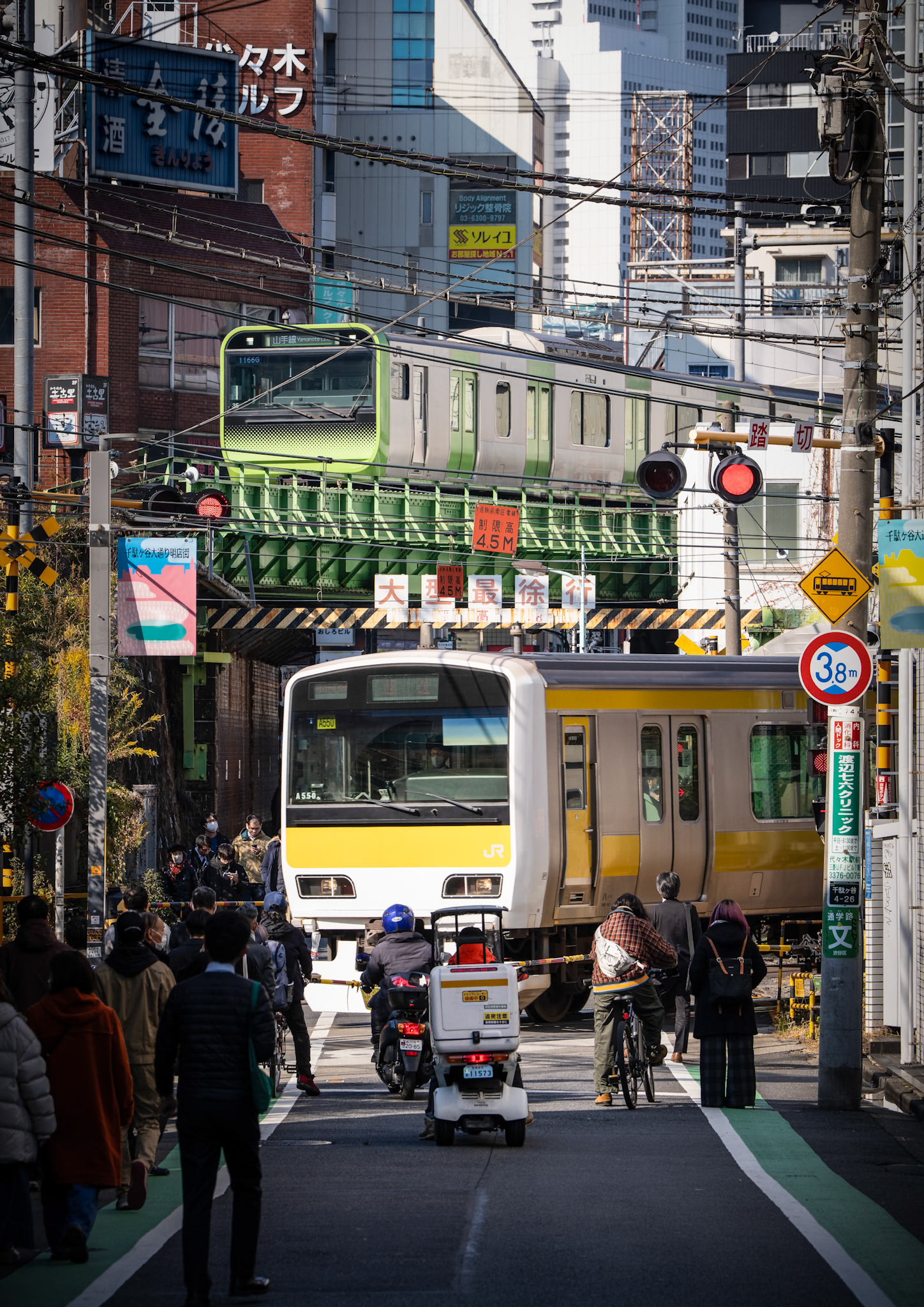 Yoyogi Crossing