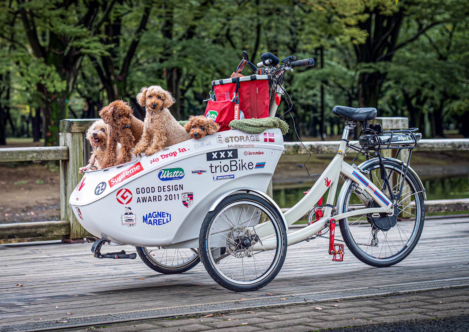 Walking the dogs - Tokyo Style